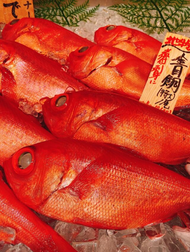 伊勢湾・三河湾は魚貝の宝庫、愛知県の主要漁港でセリ権を持つ俺たち。
ぴかぴかの魚貝類が水揚げ後すぐに魚市場に並びます！  ＼今日のおすすめ／
鮮度抜群の地物の金目鯛だぜ！
言わずと知れた高級魚‼️
金目鯛は上品な味わいでクセがなく、
脂が乗った甘みとコクを持つお魚です😋
お刺身は勿論、塩焼き、煮付けに最高です❣️  お店は対面販売なので、どうやって魚を食べようか？下処理は？保存法は？
わからないことはお気軽に！　そんな疑問、全部魚太郎が解決します！  魚が捌けなくても大丈夫！
対面鮮魚コーナーでは無料で下処理行います。
毎日魚を扱うプロの魚屋にお任せ！  本日も沢山のピカピカの地魚と活気あふれるスタッフで
皆様のご来店をお待ちしております！  鮮魚市場に併設した、魚屋の浜焼きバーベキューがありますので
市場で買ってそのまま焼いて食べることが可能です！  最新入荷はストーリーズで配信中！
フォロー＆チェックしてくださいね！  皆様の「美味しい！」の声が、俺たちの元気の源です！  ▷入荷商品のお問合せは、お電話にてお願いします
▶その他お問合せDMではタイムリーな返答が致しかねます
体制が整っておらず、申し訳ありません🙇  -————————————————
📌ラグーナテンボス　フェスティバルマーケット内1F
店舗の場所は、観覧車の下が目印です🎡  🐟魚太郎ラグーナ蒲郡店 鮮魚市場
営業時間：　10：00～18：00
※海鮮丼・寿司のイートインコーナーあり  🔥魚太郎浜焼きバーベキュー ラグーナ蒲郡店
営業時間：
平日10:00～17:00(最終受付15:00)
土日祝　10：00～19：00(最終受付17:00)
土日祝は　19：00迄　延長中
駐車場：魚太郎浜焼きバーベキュー利用で最大5時間無料サービスあり
(夏休み　2025/7/19-8/31は）
10：00～20：00（受付最終18:00）
#魚太郎ラグーナ蒲郡店
#地魚
#鮮度にこだわる魚屋
#産直鮮魚
#蒲郡観光
#愛知海鮮
#金目鯛
