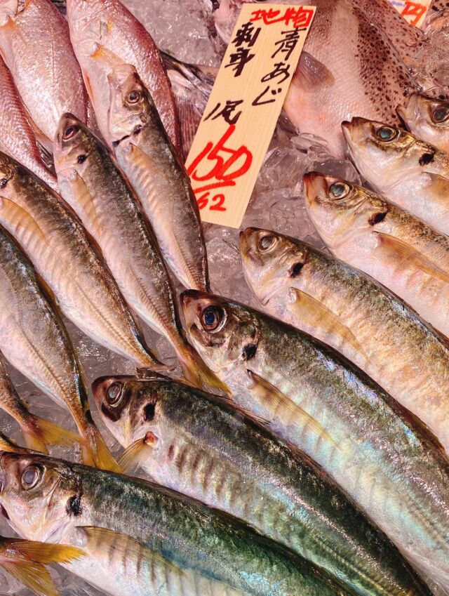 伊勢湾・三河湾は魚貝の宝庫、愛知県の主要漁港でセリ権を持つ俺たち。
ぴかぴかの魚貝類が水揚げ後すぐに魚市場に並びます！  ＼今日のおすすめ／
鮮度抜群の地物の青アジだぜ！
丸々としていて加熱してもあまり硬くならない‼️
お刺身や塩焼き。フライにオススメです❣️  お店は対面販売なので、どうやって魚を食べようか？下処理は？保存法は？
わからないことはお気軽に！　そんな疑問、全部魚太郎が解決します！  魚が捌けなくても大丈夫！
対面鮮魚コーナーでは無料で下処理行います。
毎日魚を扱うプロの魚屋にお任せ！  本日も沢山のピカピカの地魚と活気あふれるスタッフで
皆様のご来店をお待ちしております！  鮮魚市場に併設した、魚屋の浜焼きバーベキューがありますので
市場で買ってそのまま焼いて食べることが可能です！  最新入荷はストーリーズで配信中！
フォロー＆チェックしてくださいね！  皆様の「美味しい！」の声が、俺たちの元気の源です！  ▷入荷商品のお問合せは、お電話にてお願いします
▶その他お問合せDMではタイムリーな返答が致しかねます
体制が整っておらず、申し訳ありません🙇  -————————————————
📌ラグーナテンボス　フェスティバルマーケット内1F
店舗の場所は、観覧車の下が目印です🎡  🐟魚太郎ラグーナ蒲郡店 鮮魚市場
営業時間：　10：00～18：00
※海鮮丼・寿司のイートインコーナーあり  🔥魚太郎浜焼きバーベキュー ラグーナ蒲郡店
営業時間：
平日10:00～17:00(最終受付15:00)
土日祝　10：00～19：00(最終受付17:00)
土日祝は　19：00迄　延長中
駐車場：魚太郎浜焼きバーベキュー利用で最大5時間無料サービスあり
(夏休み　2025/7/19-8/31は）
10：00～20：00（受付最終18:00）
#魚太郎ラグーナ蒲郡店
#地魚
#鮮度にこだわる魚屋
#産直鮮魚
#蒲郡観光
#愛知海鮮
#青アジ