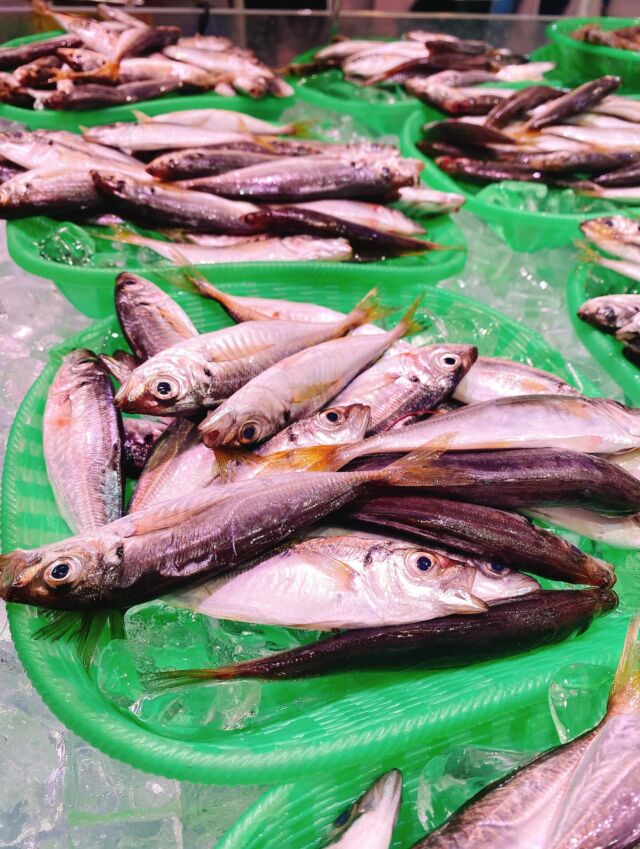 伊勢湾・三河湾は魚貝の宝庫、愛知県の主要漁港でセリ権を持つ俺たち。
ぴかぴかの魚貝類が水揚げ後すぐに魚市場に並びます！  ＼今日のおすすめ／
鮮度抜群の豆アジだぜ！
身が柔らかく頭ごと食べれるのが特徴です‼️
唐揚げや南蛮漬けがオススメです‼️  お店は対面販売なので、どうやって魚を食べようか？下処理は？保存法は？
わからないことはお気軽に！　そんな疑問、全部魚太郎が解決します！  魚が捌けなくても大丈夫！
対面鮮魚コーナーでは無料で下処理行います。
毎日魚を扱うプロの魚屋にお任せ！  本日も沢山のピカピカの地魚と活気あふれるスタッフで
皆様のご来店をお待ちしております！  鮮魚市場に併設した、魚屋の浜焼きバーベキューがありますので
市場で買ってそのまま焼いて食べることが可能です！  最新入荷はストーリーズで配信中！
フォロー＆チェックしてくださいね！  皆様の「美味しい！」の声が、俺たちの元気の源です！  ▷入荷商品のお問合せは、お電話にてお願いします
▶その他お問合せDMではタイムリーな返答が致しかねます
体制が整っておらず、申し訳ありません🙇  -————————————————
📌ラグーナテンボス　フェスティバルマーケット内1F
店舗の場所は、観覧車の下が目印です🎡  🐟魚太郎ラグーナ蒲郡店 鮮魚市場
営業時間：　10：00～18：00
※海鮮丼・寿司のイートインコーナーあり  🔥魚太郎浜焼きバーベキュー ラグーナ蒲郡店
営業時間：
平日10:00～17:00(最終受付15:00)
土日祝　10：00～19：00(最終受付17:00)
土日祝は　19：00迄　延長中
駐車場：魚太郎浜焼きバーベキュー利用で最大5時間無料サービスあり
(夏休み　2025/7/19-8/31は）
10：00～20：00（受付最終18:00）
#魚太郎ラグーナ蒲郡店
#地魚
#鮮度にこだわる魚屋
#産直鮮魚
#蒲郡観光
#愛知海鮮