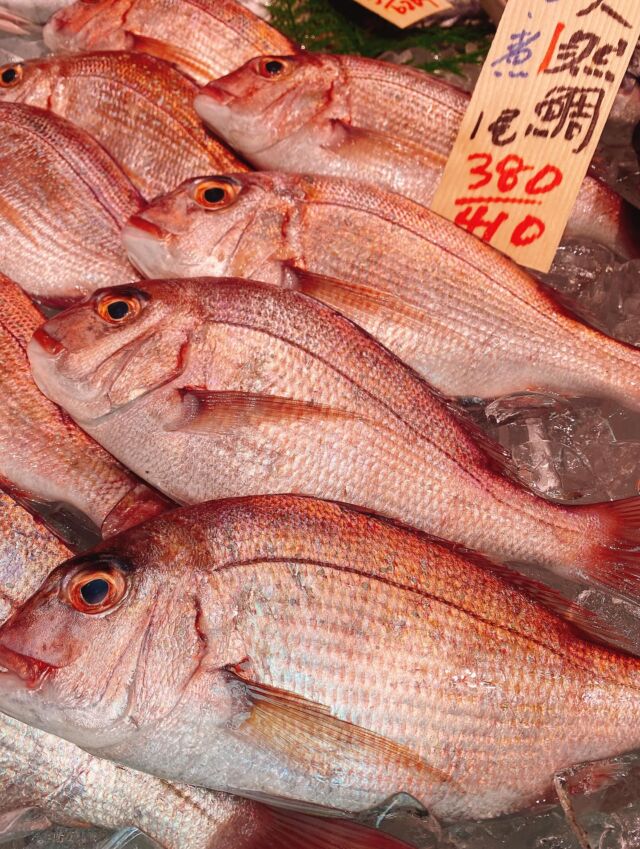 伊勢湾・三河湾は魚貝の宝庫、愛知県の主要漁港でセリ権を持つ俺たち。
ぴかぴかの魚貝類が水揚げ後すぐに魚市場に並びます！  ＼今日のおすすめ／
鮮度抜群の天然鯛だぜ！
脂も乗り始めてしっとりしながらも粘り気と
弾力のある風味豊かな白身❣️
塩焼きは勿論、お刺身やフライにしても大変オススメです‼️  お店は対面販売なので、どうやって魚を食べようか？下処理は？保存法は？
わからないことはお気軽に！　そんな疑問、全部魚太郎が解決します！  魚が捌けなくても大丈夫！
対面鮮魚コーナーでは無料で下処理行います。
毎日魚を扱うプロの魚屋にお任せ！  本日も沢山のピカピカの地魚と活気あふれるスタッフで
皆様のご来店をお待ちしております！  鮮魚市場に併設した、魚屋の浜焼きバーベキューがありますので
市場で買ってそのまま焼いて食べることが可能です！  最新入荷はストーリーズで配信中！
フォロー＆チェックしてくださいね！  皆様の「美味しい！」の声が、俺たちの元気の源です！  ▷入荷商品のお問合せは、お電話にてお願いします
▶その他お問合せDMではタイムリーな返答が致しかねます
体制が整っておらず、申し訳ありません🙇  -————————————————
📌ラグーナテンボス　フェスティバルマーケット内1F
店舗の場所は、観覧車の下が目印です🎡  🐟魚太郎ラグーナ蒲郡店 鮮魚市場
営業時間：　10：00～18：00
※海鮮丼・寿司のイートインコーナーあり  🔥魚太郎浜焼きバーベキュー ラグーナ蒲郡店
営業時間：
平日10:00～17:00(最終受付15:00)
土日祝　10：00～19：00(最終受付17:00)
土日祝は　19：00迄　延長中
駐車場：魚太郎浜焼きバーベキュー利用で最大5時間無料サービスあり
(夏休み　2025/7/19-8/31は）
10：00～20：00（受付最終18:00）
#魚太郎ラグーナ蒲郡店
#地魚
#鮮度にこだわる魚屋
#産直鮮魚
#蒲郡観光
#愛知海鮮
#天然真鯛