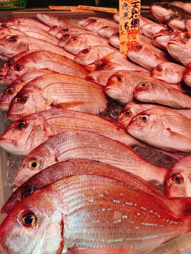 伊勢湾・三河湾は魚貝の宝庫、愛知県の主要漁港でセリ権を持つ俺たち。
ぴかぴかの魚貝類が水揚げ後すぐに魚市場に並びます！  ＼今日のおすすめ／
鮮度抜群の天然鯛だぜ！
上品な甘みと適度な歯応えです‼️
煮付けや塩焼き、鯛めしもオススメの食べ方になってます❣️  お店は対面販売なので、どうやって魚を食べようか？下処理は？保存法は？
わからないことはお気軽に！　そんな疑問、全部魚太郎が解決します！  魚が捌けなくても大丈夫！
対面鮮魚コーナーでは無料で下処理行います。
毎日魚を扱うプロの魚屋にお任せ！  本日も沢山のピカピカの地魚と活気あふれるスタッフで
皆様のご来店をお待ちしております！  鮮魚市場に併設した、魚屋の浜焼きバーベキューがありますので
市場で買ってそのまま焼いて食べることが可能です！  最新入荷はストーリーズで配信中！
フォロー＆チェックしてくださいね！  皆様の「美味しい！」の声が、俺たちの元気の源です！  ▷入荷商品のお問合せは、お電話にてお願いします
▶その他お問合せDMではタイムリーな返答が致しかねます
体制が整っておらず、申し訳ありません🙇  -————————————————
📌ラグーナテンボス　フェスティバルマーケット内1F
店舗の場所は、観覧車の下が目印です🎡  🐟魚太郎ラグーナ蒲郡店 鮮魚市場
営業時間：　10：00～18：00
※海鮮丼・寿司のイートインコーナーあり  🔥魚太郎浜焼きバーベキュー ラグーナ蒲郡店
営業時間：
平日10:00～17:00(最終受付15:00)
土日祝　10：00～19：00(最終受付17:00)
土日祝は　19：00迄　延長中
駐車場：魚太郎浜焼きバーベキュー利用で最大5時間無料サービスあり
(夏休み　2025/7/19-8/31は）
10：00～20：00（受付最終18:00）
#魚太郎ラグーナ蒲郡店
#地魚
#鮮度にこだわる魚屋
#産直鮮魚
#蒲郡観光
#愛知海鮮
