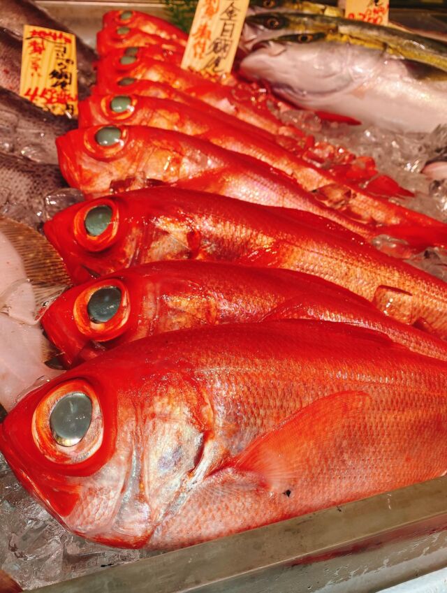 伊勢湾・三河湾は魚貝の宝庫、愛知県の主要漁港でセリ権を持つ俺たち。
ぴかぴかの魚貝類が水揚げ後すぐに魚市場に並びます！  ＼今日のおすすめ／
鮮度抜群の金目鯛だぜ！
上品な脂のりで淡白でクセのない味わいです！
刺身はもちろん煮付けでも美味しくいただけます‼️  お店は対面販売なので、どうやって魚を食べようか？下処理は？保存法は？
わからないことはお気軽に！　そんな疑問、全部魚太郎が解決します！  魚が捌けなくても大丈夫！
対面鮮魚コーナーでは無料で下処理行います。
毎日魚を扱うプロの魚屋にお任せ！  本日も沢山のピカピカの地魚と活気あふれるスタッフで
皆様のご来店をお待ちしております！  鮮魚市場に併設した、魚屋の浜焼きバーベキューがありますので
市場で買ってそのまま焼いて食べることが可能です！  最新入荷はストーリーズで配信中！
フォロー＆チェックしてくださいね！  皆様の「美味しい！」の声が、俺たちの元気の源です！  ▷入荷商品のお問合せは、お電話にてお願いします
▶その他お問合せDMではタイムリーな返答が致しかねます
体制が整っておらず、申し訳ありません🙇  -————————————————
📌ラグーナテンボス　フェスティバルマーケット内1F
店舗の場所は、観覧車の下が目印です🎡  🐟魚太郎ラグーナ蒲郡店 鮮魚市場
営業時間：　10：00～18：00
※海鮮丼・寿司のイートインコーナーあり  🔥魚太郎浜焼きバーベキュー ラグーナ蒲郡店
営業時間：
平日10:00～17:00(最終受付15:00)
土日祝　10：00～19：00(最終受付17:00)
土日祝は　19：00迄　延長中
駐車場：魚太郎浜焼きバーベキュー利用で最大5時間無料サービスあり
(夏休み　2025/7/19-8/31は）
10：00～20：00（受付最終18:00）
#魚太郎ラグーナ蒲郡店
#地魚
#鮮度にこだわる魚屋
#産直鮮魚
#蒲郡観光
#愛知海鮮
#金目鯛