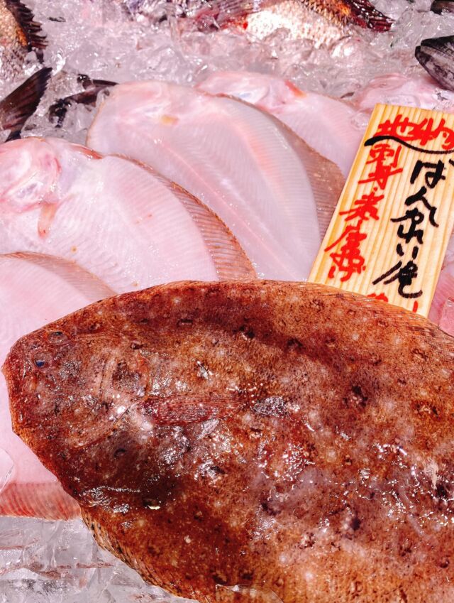 伊勢湾・三河湾は魚貝の宝庫、愛知県の主要漁港でセリ権を持つ俺たち。
ぴかぴかの魚貝類が水揚げ後すぐに魚市場に並びます！  ＼今日のおすすめ／
鮮度抜群の地物のバンカレイだぜ！
刺身ではヒラメに似た甘みと上品さがあります‼️
熱を通しても硬く締まらないので
ムニエルや唐揚げ、煮付けにもオススメです❣️😋  お店は対面販売なので、どうやって魚を食べようか？下処理は？保存法は？
わからないことはお気軽に！　そんな疑問、全部魚太郎が解決します！  魚が捌けなくても大丈夫！
対面鮮魚コーナーでは無料で下処理行います。
毎日魚を扱うプロの魚屋にお任せ！  本日も沢山のピカピカの地魚と活気あふれるスタッフで
皆様のご来店をお待ちしております！  鮮魚市場に併設した、魚屋の浜焼きバーベキューがありますので
市場で買ってそのまま焼いて食べることが可能です！  最新入荷はストーリーズで配信中！
フォロー＆チェックしてくださいね！  皆様の「美味しい！」の声が、俺たちの元気の源です！  ▷入荷商品のお問合せは、お電話にてお願いします
▶その他お問合せDMではタイムリーな返答が致しかねます
体制が整っておらず、申し訳ありません🙇  -————————————————
📌ラグーナテンボス　フェスティバルマーケット内1F
店舗の場所は、観覧車の下が目印です🎡  🐟魚太郎ラグーナ蒲郡店 鮮魚市場
営業時間：　10：00～18：00
※海鮮丼・寿司のイートインコーナーあり  🔥魚太郎浜焼きバーベキュー ラグーナ蒲郡店
営業時間：
平日10:00～17:00(最終受付15:00)
土日祝　10：00～19：00(最終受付17:00)
土日祝は　19：00迄　延長中
駐車場：魚太郎浜焼きバーベキュー利用で最大5時間無料サービスあり
(夏休み　2025/7/19-8/31は）
10：00～20：00（受付最終18:00）
#魚太郎ラグーナ蒲郡店
#地魚
#鮮度にこだわる魚屋
#産直鮮魚
#蒲郡観光
#愛知海鮮
#バンカレイ