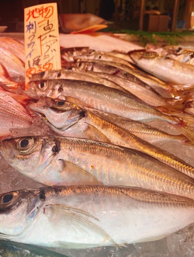 伊勢湾・三河湾は魚貝の宝庫、愛知県の主要漁港でセリ権を持つ俺たち。
ぴかぴかの魚貝類が水揚げ後すぐに魚市場に並びます！  ＼今日のおすすめ／
鮮度抜群の真アジだぜ！
脂乗り良く、旨味と甘みがあり、万人受けしやすい魚です❗️
刺身はもちろん塩焼きやフライなどでも楽しめます❣️  お店は対面販売なので、どうやって魚を食べようか？下処理は？保存法は？
わからないことはお気軽に！　そんな疑問、全部魚太郎が解決します！  魚が捌けなくても大丈夫！
対面鮮魚コーナーでは無料で下処理行います。
毎日魚を扱うプロの魚屋にお任せ！  本日も沢山のピカピカの地魚と活気あふれるスタッフで
皆様のご来店をお待ちしております！  鮮魚市場に併設した、魚屋の浜焼きバーベキューがありますので
市場で買ってそのまま焼いて食べることが可能です！  最新入荷はストーリーズで配信中！
フォロー＆チェックしてくださいね！  皆様の「美味しい！」の声が、俺たちの元気の源です！  ▷入荷商品のお問合せは、お電話にてお願いします
▶その他お問合せDMではタイムリーな返答が致しかねます
体制が整っておらず、申し訳ありません🙇  -————————————————
📌ラグーナテンボス　フェスティバルマーケット内1F
店舗の場所は、観覧車の下が目印です🎡  🐟魚太郎ラグーナ蒲郡店 鮮魚市場
営業時間：　10：00～18：00
※海鮮丼・寿司のイートインコーナーあり  🔥魚太郎浜焼きバーベキュー ラグーナ蒲郡店
営業時間：
平日10:00～17:00(最終受付15:00)
土日祝　10：00～19：00(最終受付17:00)
土日祝は　19：00迄　延長中
駐車場：魚太郎浜焼きバーベキュー利用で最大5時間無料サービスあり
(夏休み　2025/7/19-8/31は）
10：00～20：00（受付最終18:00）
#魚太郎ラグーナ蒲郡店
#地魚
#鮮度にこだわる魚屋
#産直鮮魚
#蒲郡観光
#愛知海鮮
#真アジ