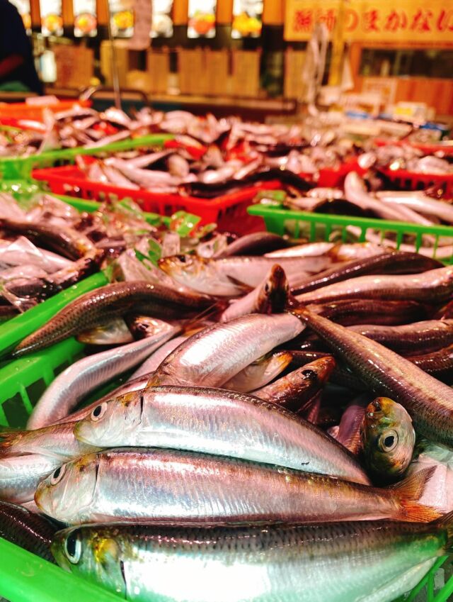 伊勢湾・三河湾は魚貝の宝庫、愛知県の主要漁港でセリ権を持つ俺たち。
ぴかぴかの魚貝類が水揚げ後すぐに魚市場に並びます！  ＼今日のおすすめ／
鮮度抜群のイワシだぜ！
とろけるような食感と濃厚な旨味が特徴です‼️
お刺身や煮付け、南蛮漬けなどもオススメです❣️  お店は対面販売なので、どうやって魚を食べようか？下処理は？保存法は？
わからないことはお気軽に！　そんな疑問、全部魚太郎が解決します！  魚が捌けなくても大丈夫！
対面鮮魚コーナーでは無料で下処理行います。
毎日魚を扱うプロの魚屋にお任せ！  本日も沢山のピカピカの地魚と活気あふれるスタッフで
皆様のご来店をお待ちしております！  鮮魚市場に併設した、魚屋の浜焼きバーベキューがありますので
市場で買ってそのまま焼いて食べることが可能です！  最新入荷はストーリーズで配信中！
フォロー＆チェックしてくださいね！  皆様の「美味しい！」の声が、俺たちの元気の源です！  ▷入荷商品のお問合せは、お電話にてお願いします
▶その他お問合せDMではタイムリーな返答が致しかねます
体制が整っておらず、申し訳ありません🙇  -————————————————
📌ラグーナテンボス　フェスティバルマーケット内1F
店舗の場所は、観覧車の下が目印です🎡  🐟魚太郎ラグーナ蒲郡店 鮮魚市場
営業時間：　10：00～18：00
※海鮮丼・寿司のイートインコーナーあり  🔥魚太郎浜焼きバーベキュー ラグーナ蒲郡店
営業時間：
平日10:00～17:00(最終受付15:00)
土日祝　10：00～19：00(最終受付17:00)
土日祝は　19：00迄　延長中
駐車場：魚太郎浜焼きバーベキュー利用で最大5時間無料サービスあり
(夏休み　2025/7/19-8/31は）
10：00～20：00（受付最終18:00）
#魚太郎ラグーナ蒲郡店
#地魚
#鮮度にこだわる魚屋
#産直鮮魚
#蒲郡観光
#愛知海鮮
#いわし