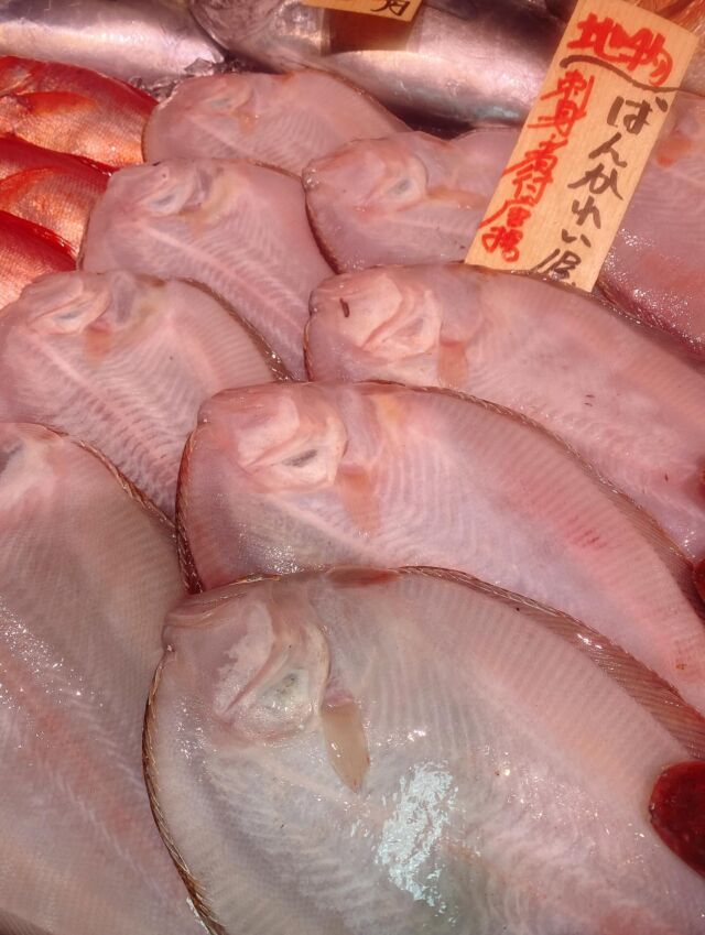 伊勢湾・三河湾は魚貝の宝庫、愛知県の主要漁港でセリ権を持つ俺たち。
ぴかぴかの魚貝類が水揚げ後すぐに魚市場に並びます！  ＼今日のおすすめ／  鮮度抜群のバンカレイだぜ！
さっぱり淡白、上品な味わいです‼️
今日ならお刺身❣️煮付けやフライ、唐揚げにしても
オススメです😋
また、本日獲れたてイワシも入荷‼️
鮮度抜群のイワシ🐟是非お買い求め下さい‼️  お店は対面販売なので、どうやって魚を食べようか？下処理は？保存法は？
わからないことはお気軽に！　そんな疑問、全部魚太郎が解決します！  魚が捌けなくても大丈夫！
対面鮮魚コーナーでは無料で下処理行います。
毎日魚を扱うプロの魚屋にお任せ！  本日も沢山のピカピカの地魚と活気あふれるスタッフで
皆様のご来店をお待ちしております！  鮮魚市場に併設した、魚屋の浜焼きバーベキューがありますので
市場で買ってそのまま焼いて食べることが可能です！  最新入荷はストーリーズで配信中！
フォロー＆チェックしてくださいね！  皆様の「美味しい！」の声が、俺たちの元気の源です！  ▷入荷商品のお問合せは、お電話にてお願いします
▶その他お問合せDMではタイムリーな返答が致しかねます
体制が整っておらず、申し訳ありません🙇  -————————————————
📌ラグーナテンボス　フェスティバルマーケット内1F
店舗の場所は、観覧車の下が目印です🎡  🐟魚太郎ラグーナ蒲郡店 鮮魚市場
営業時間：　10：00～18：00
※海鮮丼・寿司のイートインコーナーあり  🔥魚太郎浜焼きバーベキュー ラグーナ蒲郡店
営業時間：
10:00～17:00(最終受付15:00)
駐車場：魚太郎浜焼きバーベキュー利用で最大5時間無料サービスあり
＃魚太郎ラグーナ蒲郡店
＃地魚
＃鮮度にこだわる魚屋
＃産直鮮魚
＃蒲郡観光
＃愛知海鮮
#バンカレイ
