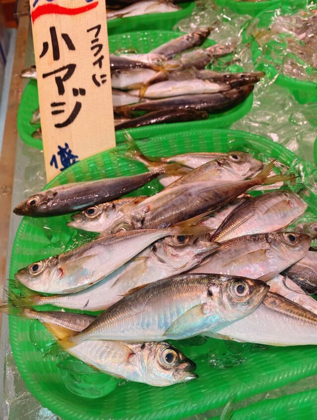 伊勢湾・三河湾は魚貝の宝庫、愛知県の主要漁港でセリ権を持つ俺たち。
ぴかぴかの魚貝類が水揚げ後すぐに魚市場に並びます！  ＼今日のおすすめ／  鮮度抜群の小アジです！
うまみが強く、脂が乗っていて、さっぱりとした味わいが特徴です❣️
唐揚げや南蛮漬けで骨ごと食べられます‼️  お店は対面販売なので、どうやって魚を食べようか？下処理は？保存法は？
わからないことはお気軽に！　そんな疑問、全部魚太郎が解決します！  魚が捌けなくても大丈夫！
対面鮮魚コーナーでは無料で下処理行います。
毎日魚を扱うプロの魚屋にお任せ！  本日も沢山のピカピカの地魚と活気あふれるスタッフで
皆様のご来店をお待ちしております！  鮮魚市場に併設した、魚屋の浜焼きバーベキューがありますので
市場で買ってそのまま焼いて食べることが可能です！  最新入荷はストーリーズで配信中！
フォロー＆チェックしてくださいね！  皆様の「美味しい！」の声が、俺たちの元気の源です！  ▷入荷商品のお問合せは、お電話にてお願いします
▶その他お問合せDMではタイムリーな返答が致しかねます
体制が整っておらず、申し訳ありません🙇  -————————————————
📌ラグーナテンボス　フェスティバルマーケット内1F
店舗の場所は、観覧車の下が目印です🎡  🐟魚太郎ラグーナ蒲郡店 鮮魚市場
営業時間：　10：00～18：00
※海鮮丼・寿司のイートインコーナーあり  🔥魚太郎浜焼きバーベキュー ラグーナ蒲郡店
営業時間：
10:00～17:00(最終受付15:00)
駐車場：魚太郎浜焼きバーベキュー利用で最大5時間無料サービスあり
＃魚太郎ラグーナ蒲郡店
＃地魚
＃鮮度にこだわる魚屋
＃産直鮮魚
＃蒲郡観光
＃愛知海鮮
#小アジ