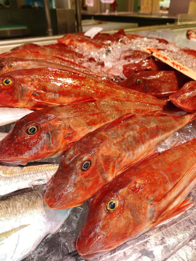 伊勢湾・三河湾は魚貝の宝庫、愛知県の主要漁港でセリ権を持つ俺たち。
ぴかぴかの魚貝類が水揚げ後すぐに魚市場に並びます！  ＼今日のおすすめ／  鮮度抜群の地物のホウボウだぜ！
生だともっちり、
加熱するとホロホロとした上質な白身のお魚です‼️
いい出汁が出るので煮付けや汁物に❣️😋
お刺身やフライ、唐揚げにもオススメです‼️  お店は対面販売なので、どうやって魚を食べようか？下処理は？保存法は？
わからないことはお気軽に！　そんな疑問、全部魚太郎が解決します！  魚が捌けなくても大丈夫！
対面鮮魚コーナーでは無料で下処理行います。
毎日魚を扱うプロの魚屋にお任せ！  本日も沢山のピカピカの地魚と活気あふれるスタッフで
皆様のご来店をお待ちしております！  鮮魚市場に併設した、魚屋の浜焼きバーベキューがありますので
市場で買ってそのまま焼いて食べることが可能です！  最新入荷はストーリーズで配信中！
フォロー＆チェックしてくださいね！  皆様の「美味しい！」の声が、俺たちの元気の源です！  ▷入荷商品のお問合せは、お電話にてお願いします
▶その他お問合せDMではタイムリーな返答が致しかねます
体制が整っておらず、申し訳ありません🙇  -————————————————
📌ラグーナテンボス　フェスティバルマーケット内1F
店舗の場所は、観覧車の下が目印です🎡  🐟魚太郎ラグーナ蒲郡店 鮮魚市場
営業時間：　10：00～18：00
※海鮮丼・寿司のイートインコーナーあり  🔥魚太郎浜焼きバーベキュー ラグーナ蒲郡店
営業時間：
10:00～17:00(最終受付15:00)
駐車場：魚太郎浜焼きバーベキュー利用で最大5時間無料サービスあり
＃魚太郎ラグーナ蒲郡店
＃地魚
＃鮮度にこだわる魚屋
＃産直鮮魚
＃蒲郡観光
＃愛知海鮮
#ホウボウ