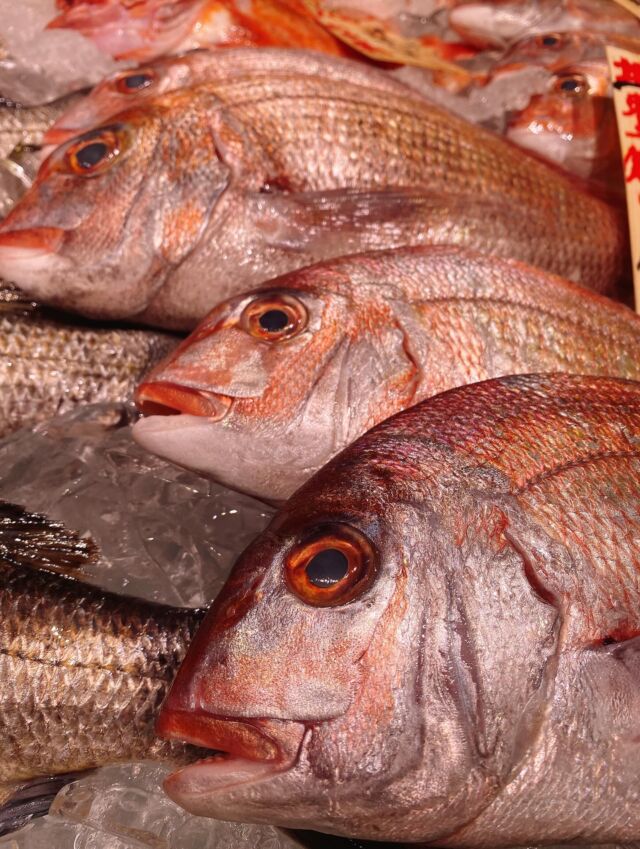 伊勢湾・三河湾は魚貝の宝庫、愛知県の主要漁港でセリ権を持つ俺たち。
ぴかぴかの魚貝類が水揚げ後すぐに魚市場に並びます！  ＼今日のおすすめ／  鮮度抜群の地物の天然鯛だぜ！
お刺身でもいただける新鮮さ‼️
塩焼きや煮付け、酒蒸しにしてもオススメです‼️  お店は対面販売なので、どうやって魚を食べようか？下処理は？保存法は？
わからないことはお気軽に！　そんな疑問、全部魚太郎が解決します！  魚が捌けなくても大丈夫！
対面鮮魚コーナーでは無料で下処理行います。
毎日魚を扱うプロの魚屋にお任せ！  本日も沢山のピカピカの地魚と活気あふれるスタッフで
皆様のご来店をお待ちしております！  鮮魚市場に併設した、魚屋の浜焼きバーベキューがありますので
市場で買ってそのまま焼いて食べることが可能です！  最新入荷はストーリーズで配信中！
フォロー＆チェックしてくださいね！  皆様の「美味しい！」の声が、俺たちの元気の源です！  ▷入荷商品のお問合せは、お電話にてお願いします
▶その他お問合せDMではタイムリーな返答が致しかねます
体制が整っておらず、申し訳ありません🙇  -————————————————
📌ラグーナテンボス　フェスティバルマーケット内1F
店舗の場所は、観覧車の下が目印です🎡  🐟魚太郎ラグーナ蒲郡店 鮮魚市場
営業時間：　10：00～18：00
※海鮮丼・寿司のイートインコーナーあり  🔥魚太郎浜焼きバーベキュー ラグーナ蒲郡店
営業時間：
10:00～17:00(最終受付15:00)
駐車場：魚太郎浜焼きバーベキュー利用で最大5時間無料サービスあり
＃魚太郎ラグーナ蒲郡店
＃地魚
＃鮮度にこだわる魚屋
＃産直鮮魚
＃蒲郡観光
＃愛知海鮮
#天然鯛