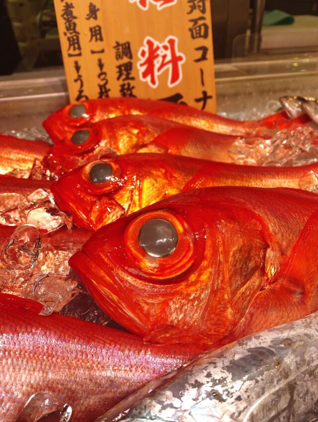 伊勢湾・三河湾は魚貝の宝庫、愛知県の主要漁港でセリ権を持つ俺たち。
ぴかぴかの魚貝類が水揚げ後すぐに魚市場に並びます！  ＼今日のおすすめ／  鮮度抜群の地物の金目鯛だぜ！
言わずと知れた高級魚‼️
一年を通して味が良く、脂の乗った白身をしています❣️
お刺身は勿論、定番の煮付け😋
塩焼きや酒蒸ししてもオススメです‼️  お店は対面販売なので、どうやって魚を食べようか？下処理は？保存法は？
わからないことはお気軽に！　そんな疑問、全部魚太郎が解決します！  魚が捌けなくても大丈夫！
対面鮮魚コーナーでは無料で下処理行います。
毎日魚を扱うプロの魚屋にお任せ！  本日も沢山のピカピカの地魚と活気あふれるスタッフで
皆様のご来店をお待ちしております！  鮮魚市場に併設した、魚屋の浜焼きバーベキューがありますので
市場で買ってそのまま焼いて食べることが可能です！  最新入荷はストーリーズで配信中！
フォロー＆チェックしてくださいね！  皆様の「美味しい！」の声が、俺たちの元気の源です！  ▷入荷商品のお問合せは、お電話にてお願いします
▶その他お問合せDMではタイムリーな返答が致しかねます
体制が整っておらず、申し訳ありません🙇  -————————————————
📌ラグーナテンボス　フェスティバルマーケット内1F
店舗の場所は、観覧車の下が目印です🎡  🐟魚太郎ラグーナ蒲郡店 鮮魚市場
営業時間：　10：00～18：00
※海鮮丼・寿司のイートインコーナーあり  🔥魚太郎浜焼きバーベキュー ラグーナ蒲郡店
営業時間：
10:00～17:00(最終受付15:00)
駐車場：魚太郎浜焼きバーベキュー利用で最大5時間無料サービスあり
＃魚太郎ラグーナ蒲郡店
＃地魚
＃鮮度にこだわる魚屋
＃産直鮮魚
＃蒲郡観光
＃愛知海鮮
#金目鯛