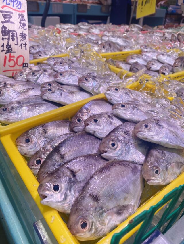 伊勢湾・三河湾は魚貝の宝庫、愛知県の主要漁港でセリ権を持つ俺たち。
ぴかぴかの魚貝類が水揚げ後すぐに魚市場に並びます！  ＼今日のおすすめ／  鮮度抜群の豆ダイだぜ！
身が柔らかくて上品な甘みと旨みがあります‼️
刺身でも食べれますが、煮付けやフライでも柔らかくオススメです❣️  お店は対面販売なので、どうやって魚を食べようか？下処理は？保存法は？
わからないことはお気軽に！　そんな疑問、全部魚太郎が解決します！  魚が捌けなくても大丈夫！
対面鮮魚コーナーでは無料で下処理行います。
毎日魚を扱うプロの魚屋にお任せ！  本日も沢山のピカピカの地魚と活気あふれるスタッフで
皆様のご来店をお待ちしております！  鮮魚市場に併設した、魚屋の浜焼きバーベキューがありますので
市場で買ってそのまま焼いて食べることが可能です！  最新入荷はストーリーズで配信中！
フォロー＆チェックしてくださいね！  皆様の「美味しい！」の声が、俺たちの元気の源です！  ▷入荷商品のお問合せは、お電話にてお願いします
▶その他お問合せDMではタイムリーな返答が致しかねます
体制が整っておらず、申し訳ありません🙇  -————————————————
📌ラグーナテンボス　フェスティバルマーケット内1F
店舗の場所は、観覧車の下が目印です🎡  🐟魚太郎ラグーナ蒲郡店 鮮魚市場
営業時間：　10：00～18：00
※海鮮丼・寿司のイートインコーナーあり  🔥魚太郎浜焼きバーベキュー ラグーナ蒲郡店
営業時間：
10:00～17:00(最終受付15:00)
駐車場：魚太郎浜焼きバーベキュー利用で最大5時間無料サービスあり
＃魚太郎ラグーナ蒲郡店
＃地魚
＃鮮度にこだわる魚屋
＃産直鮮魚
＃蒲郡観光
＃愛知海鮮
#豆ダイ
