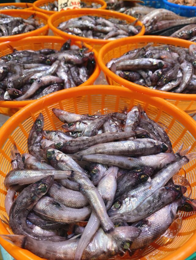 伊勢湾・三河湾は魚貝の宝庫、愛知県の主要漁港でセリ権を持つ俺たち。
ぴかぴかの魚貝類が水揚げ後すぐに魚市場に並びます！  ＼今日のおすすめ／  鮮度抜群の地物の小魚、メヒカリだぜ！
魚太郎で大人気の知多の深海魚‼️
白身で唐揚げなら骨まで美味しく食べられます❣️
丸ごと唐揚げ‼️オススメです😋  お店は対面販売なので、どうやって魚を食べようか？下処理は？保存法は？
わからないことはお気軽に！　そんな疑問、全部魚太郎が解決します！  魚が捌けなくても大丈夫！
対面鮮魚コーナーでは無料で下処理行います。
毎日魚を扱うプロの魚屋にお任せ！  本日も沢山のピカピカの地魚と活気あふれるスタッフで
皆様のご来店をお待ちしております！  鮮魚市場に併設した、魚屋の浜焼きバーベキューがありますので
市場で買ってそのまま焼いて食べることが可能です！  最新入荷はストーリーズで配信中！
フォロー＆チェックしてくださいね！  皆様の「美味しい！」の声が、俺たちの元気の源です！  ▷入荷商品のお問合せは、お電話にてお願いします
▶その他お問合せDMではタイムリーな返答が致しかねます
体制が整っておらず、申し訳ありません🙇  -————————————————
📌ラグーナテンボス　フェスティバルマーケット内1F
店舗の場所は、観覧車の下が目印です🎡  🐟魚太郎ラグーナ蒲郡店 鮮魚市場
営業時間：　10：00～18：00
※海鮮丼・寿司のイートインコーナーあり  🔥魚太郎浜焼きバーベキュー ラグーナ蒲郡店
営業時間：
10:00～17:00(最終受付15:00)
駐車場：魚太郎浜焼きバーベキュー利用で最大5時間無料サービスあり
＃魚太郎ラグーナ蒲郡店
＃地魚
＃鮮度にこだわる魚屋
＃産直鮮魚
＃蒲郡観光
＃愛知海鮮
#メヒカリ
