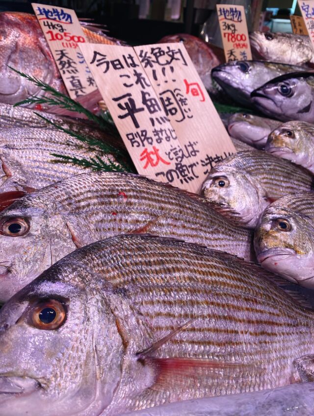 伊勢湾・三河湾は魚貝の宝庫、愛知県の主要漁港でセリ権を持つ俺たち。
ぴかぴかの魚貝類が水揚げ後すぐに魚市場に並びます!  \今日のおすすめ/  鮮度抜群の地物のヘダイだぜ!
クセが少ない白身魚で、熱を通しても身が縮みにくい‼️
お刺身でも行けますが、
塩焼きや煮付け、フライにしてもオススメです❣️😋  お店は対面販売なので、どうやって魚を食べようか?下処理は?保存法は?
わからないことはお気軽に! そんな疑問、全部魚太郎が解決します!  魚が捌けなくても大丈夫!
対面鮮魚コーナーでは無料で下処理行います。
毎日魚を扱うプロの魚屋にお任せ!  本日も沢山のピカピカの地魚と活気あふれるスタッフで
皆様のご来店をお待ちしております!  鮮魚市場に併設した、魚屋の浜焼きバーベキューがありますので
市場で買ってそのまま焼いて食べることが可能です!  最新入荷はストーリーズで配信中!
フォロー&チェックしてくださいね!  皆様の「美味しい!」の声が、俺たちの元気の源です!  ▷入荷商品のお問合せは、お電話にてお願いします
▶その他お問合せDMではタイムリーな返答が致しかねます
体制が整っておらず、申し訳ありません🙇  -————————————————
📌ラグーナテンボス フェスティバルマーケット内1F
店舗の場所は、観覧車の下が目印です🎡  🐟魚太郎ラグーナ蒲郡店 鮮魚市場
営業時間: 10:00~18:00
※海鮮丼・寿司のイートインコーナーあり  🔥魚太郎浜焼きバーベキュー ラグーナ蒲郡店
営業時間:
10:00~17:00(最終受付15:00)
駐車場:魚太郎浜焼きバーベキュー利用で最大5時間無料サービスあり
#魚太郎ラグーナ蒲郡店
#地魚
#鮮度にこだわる魚屋
#産直鮮魚
#蒲郡観光
#愛知海鮮
#ヘダイ