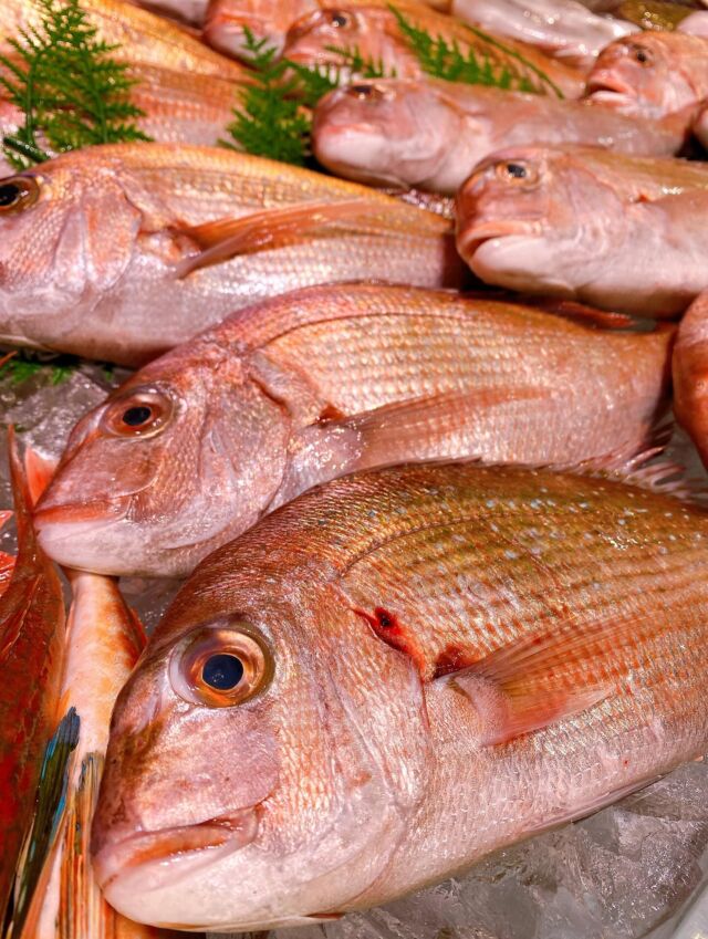 伊勢湾・三河湾は魚貝の宝庫、愛知県の主要漁港でセリ権を持つ俺たち。
ぴかぴかの魚貝類が水揚げ後すぐに魚市場に並びます!  \今日のおすすめ/  鮮度抜群の地物の天然真鯛だぜ!
身には透明感と弾力、粘りがあり
ムチムチもちもちとした食感が感じられます‼️
お刺身は勿論、塩焼きや煮付け、酒蒸しなど
幅広くお楽しみいただけます❣️😋
お店は対面販売なので、どうやって魚を食べようか?下処理は?保存法は?
わからないことはお気軽に! そんな疑問、全部魚太郎が解決します!  魚が捌けなくても大丈夫!
対面鮮魚コーナーでは無料で下処理行います。
毎日魚を扱うプロの魚屋にお任せ!  本日も沢山のピカピカの地魚と活気あふれるスタッフで
皆様のご来店をお待ちしております!  鮮魚市場に併設した、魚屋の浜焼きバーベキューがありますので
市場で買ってそのまま焼いて食べることが可能です!  最新入荷はストーリーズで配信中!
フォロー&チェックしてくださいね!  皆様の「美味しい!」の声が、俺たちの元気の源です!  ▷入荷商品のお問合せは、お電話にてお願いします
▶その他お問合せDMではタイムリーな返答が致しかねます
体制が整っておらず、申し訳ありません🙇  -————————————————
📌ラグーナテンボス フェスティバルマーケット内1F
店舗の場所は、観覧車の下が目印です🎡  🐟魚太郎ラグーナ蒲郡店 鮮魚市場
営業時間: 10:00~18:00
※海鮮丼・寿司のイートインコーナーあり  🔥魚太郎浜焼きバーベキュー ラグーナ蒲郡店
営業時間:
10:00~17:00(最終受付15:00)
駐車場:魚太郎浜焼きバーベキュー利用で最大5時間無料サービスあり
#魚太郎ラグーナ蒲郡店
#地魚
#鮮度にこだわる魚屋
#産直鮮魚
#蒲郡観光
#愛知海鮮
#天然真鯛