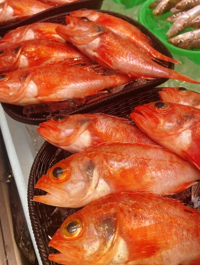 伊勢湾・三河湾は魚貝の宝庫、愛知県の主要漁港でセリ権を持つ俺たち。
ぴかぴかの魚貝類が水揚げ後すぐに魚市場に並びます！  ＼今日のおすすめ／  鮮度抜群の地物の夢カサゴだぜ！
カサゴに比べて身が柔らかく、下処理をしたら
丸ごと調理するのに向いています‼️
身が硬くなりにくく旨みが凝縮する煮付けが定番❣️😋
唐揚げやポワレ、鍋物・汁物にもオススメです‼️  お店は対面販売なので、どうやって魚を食べようか？下処理は？保存法は？
わからないことはお気軽に！　そんな疑問、全部魚太郎が解決します！  魚が捌けなくても大丈夫！
対面鮮魚コーナーでは無料で下処理行います。
毎日魚を扱うプロの魚屋にお任せ！  本日も沢山のピカピカの地魚と活気あふれるスタッフで
皆様のご来店をお待ちしております！  鮮魚市場に併設した、魚屋の浜焼きバーベキューがありますので
市場で買ってそのまま焼いて食べることが可能です！  最新入荷はストーリーズで配信中！
フォロー＆チェックしてくださいね！  皆様の「美味しい！」の声が、俺たちの元気の源です！  ▷入荷商品のお問合せは、お電話にてお願いします
▶その他お問合せDMではタイムリーな返答が致しかねます
体制が整っておらず、申し訳ありません🙇  -————————————————
📌ラグーナテンボス　フェスティバルマーケット内1F
店舗の場所は、観覧車の下が目印です🎡  🐟魚太郎ラグーナ蒲郡店 鮮魚市場
営業時間：　10：00～18：00
※海鮮丼・寿司のイートインコーナーあり  🔥魚太郎浜焼きバーベキュー ラグーナ蒲郡店
営業時間：
10:00～17:00(最終受付15:00)
駐車場：魚太郎浜焼きバーベキュー利用で最大5時間無料サービスあり
#魚太郎ラグーナ蒲郡店
#地魚
#鮮度にこだわる魚屋
#産直鮮魚
#蒲郡観光
#愛知海鮮
#夢カサゴ