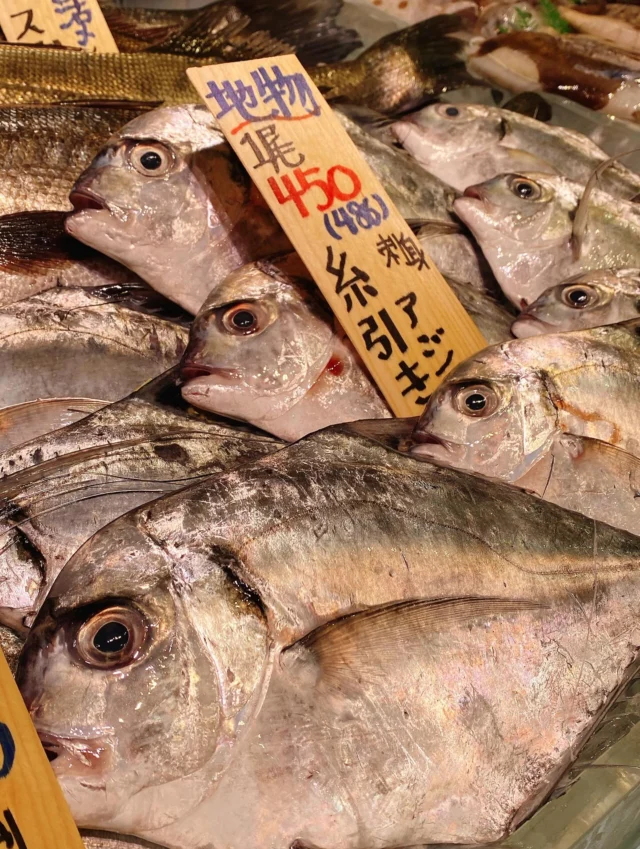 伊勢湾・三河湾は魚貝の宝庫、愛知県の主要漁港でセリ権を持つ俺たち。
ぴかぴかの魚貝類が水揚げ後すぐに魚市場に並びます！  ＼今日のおすすめ／  鮮度抜群の地物の糸引きアジだぜ！
身質はマアジに似ていますが血合いが少なく身は柔らかめ
調理すると臭みが少なく上質な白身魚のようになります‼️
お刺身は勿論、塩焼きや煮付け、フライなど
様々な料理に向いています❣️😋  お店は対面販売なので、どうやって魚を食べようか？下処理は？保存法は？
わからないことはお気軽に！　そんな疑問、全部魚太郎が解決します！  魚が捌けなくても大丈夫！
対面鮮魚コーナーでは無料で下処理行います。
毎日魚を扱うプロの魚屋にお任せ！  本日も沢山のピカピカの地魚と活気あふれるスタッフで
皆様のご来店をお待ちしております！  鮮魚市場に併設した、魚屋の浜焼きバーベキューがありますので
市場で買ってそのまま焼いて食べることが可能です！  最新入荷はストーリーズで配信中！
フォロー＆チェックしてくださいね！  皆様の「美味しい！」の声が、俺たちの元気の源です！  ▷入荷商品のお問合せは、お電話にてお願いします
▶その他お問合せDMではタイムリーな返答が致しかねます
体制が整っておらず、申し訳ありません🙇  -————————————————
📌ラグーナテンボス　フェスティバルマーケット内1F
店舗の場所は、観覧車の下が目印です🎡  🐟魚太郎ラグーナ蒲郡店 鮮魚市場
営業時間：　10：00～18：00
※海鮮丼・寿司のイートインコーナーあり  🔥魚太郎浜焼きバーベキュー ラグーナ蒲郡店
営業時間：
10:00～17:00(最終受付15:00)
駐車場：魚太郎浜焼きバーベキュー利用で最大5時間無料サービスあり
#魚太郎ラグーナ蒲郡店
#地魚
#鮮度にこだわる魚屋
#産直鮮魚
#蒲郡観光
#愛知海鮮
#糸引きアジ
