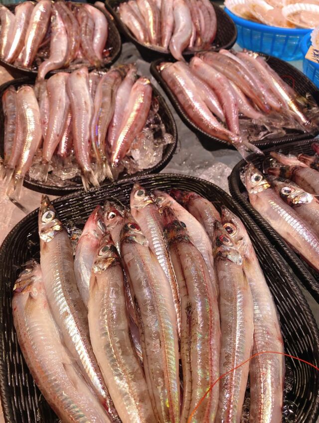 伊勢湾・三河湾は魚貝の宝庫、愛知県の主要漁港でセリ権を持つ俺たち。
ぴかぴかの魚貝類が水揚げ後すぐに魚市場に並びます！  ＼今日のおすすめ／  鮮度抜群の地物のニギスだぜ！
白身でクセが少なく、脂から独特な風味を感じられます‼️
塩焼きや一夜干しにして‼️
開いてフライにしてもオススメです😋  お店は対面販売なので、どうやって魚を食べようか？下処理は？保存法は？
わからないことはお気軽に！　そんな疑問、全部魚太郎が解決します！  魚が捌けなくても大丈夫！
対面鮮魚コーナーでは無料で下処理行います。
毎日魚を扱うプロの魚屋にお任せ！  本日も沢山のピカピカの地魚と活気あふれるスタッフで
皆様のご来店をお待ちしております！  鮮魚市場に併設した、魚屋の浜焼きバーベキューがありますので
市場で買ってそのまま焼いて食べることが可能です！  最新入荷はストーリーズで配信中！
フォロー＆チェックしてくださいね！  皆様の「美味しい！」の声が、俺たちの元気の源です！  ▷入荷商品のお問合せは、お電話にてお願いします
▶その他お問合せDMではタイムリーな返答が致しかねます
体制が整っておらず、申し訳ありません🙇  -————————————————
📌ラグーナテンボス　フェスティバルマーケット内1F
店舗の場所は、観覧車の下が目印です🎡  🐟魚太郎ラグーナ蒲郡店 鮮魚市場
営業時間：　10：00～18：00
※海鮮丼・寿司のイートインコーナーあり  🔥魚太郎浜焼きバーベキュー ラグーナ蒲郡店
営業時間：
10:00～17:00(最終受付15:00)
駐車場：魚太郎浜焼きバーベキュー利用で最大5時間無料サービスあり
#魚太郎ラグーナ蒲郡店
#地魚
#鮮度にこだわる魚屋
#産直鮮魚
#蒲郡観光
#愛知海鮮
#ニギス