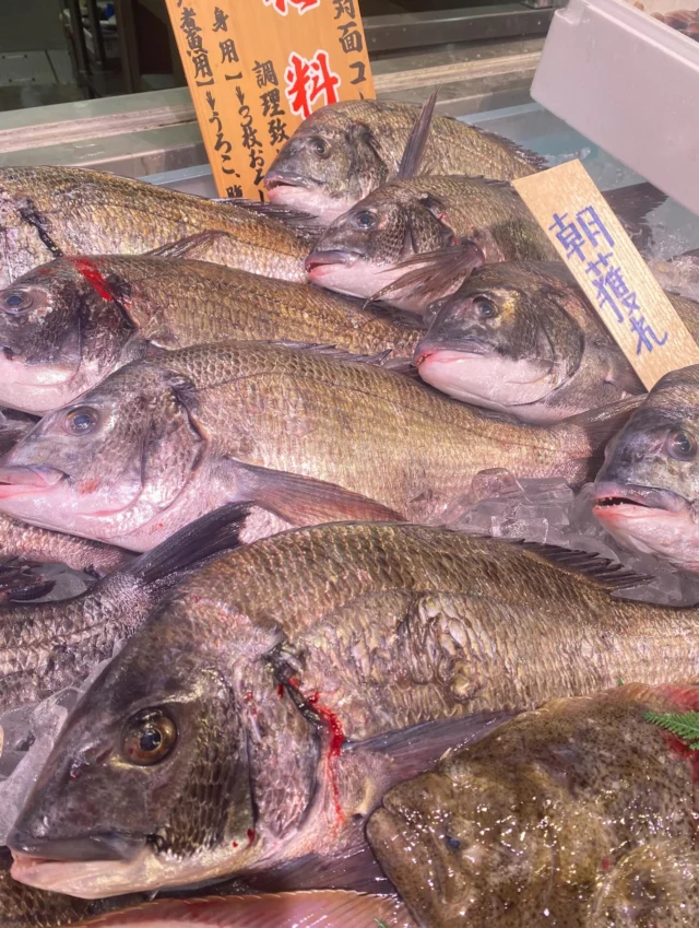 伊勢湾・三河湾は魚貝の宝庫、愛知県の主要漁港でセリ権を持つ俺たち。
ぴかぴかの魚貝類が水揚げ後すぐに魚市場に並びます！  ＼今日のおすすめ／  鮮度抜群のクロダイ！脂もノリノリ！浜値が下がったので、お求めやすい価格でご用意できております！
また本日は獲れたてのイワシも入荷してます！
小アジやホウボウも鮮度抜群です！  お店は対面販売なので、どうやって魚を食べようか？下処理は？保存法は？
わからないことはお気軽に！　そんな疑問、全部魚太郎が解決します！  魚が捌けなくても大丈夫！
対面鮮魚コーナーでは無料で下処理行います。
毎日魚を扱うプロの魚屋にお任せ！  本日も沢山のピカピカの地魚と活気あふれるスタッフで
皆様のご来店をお待ちしております！  鮮魚市場に併設した、魚屋の浜焼きバーベキューがありますので
市場で買ってそのまま焼いて食べることが可能です！  最新入荷はストーリーズで配信中！
フォロー＆チェックしてくださいね！  皆様の「美味しい！」の声が、俺たちの元気の源です！  ▷入荷商品のお問合せは、お電話にてお願いします
▶その他お問合せDMではタイムリーな返答が致しかねます
体制が整っておらず、申し訳ありません🙇  -————————————————
📌ラグーナテンボス　フェスティバルマーケット内1F
店舗の場所は、観覧車の下が目印です🎡  🐟魚太郎ラグーナ蒲郡店 鮮魚市場
営業時間：　10：00～18：00
※海鮮丼・寿司のイートインコーナーあり  🔥魚太郎浜焼きバーベキュー ラグーナ蒲郡店
営業時間：
10:00～17:00(最終受付15:00)
駐車場：魚太郎浜焼きバーベキュー利用で最大5時間無料サービスあり
#魚太郎ラグーナ蒲郡店
#地魚
#鮮度にこだわる魚屋
#産直鮮魚
#蒲郡観光
#愛知海鮮
#クロダイ