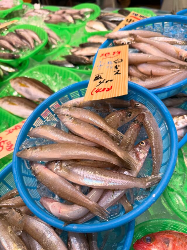 伊勢湾・三河湾は魚貝の宝庫、
愛知県の主要漁港でセリ権を持つ俺たち。
ぴかぴかの魚貝類が水揚げ後すぐに魚市場に並びます！  ＼今日のおすすめ／
地物白キスがお値打ち！キスの天ぷらは本当に
上品で美味ですよ！
冬場に水揚げが増える地物スズキも
肥えて脂がまだまだ抜けてません。
半分刺身やカルパッチョ
翌日は塩焼きや鍋に。
フライにしても鮮度がいいから味がふわふわで
おすすめです！
この時期は白子や卵が入ってるので
煮付けにしてみて下さいね！  お店は対面販売なので、どうやって魚を食べようか？
下処理は？保存法は？
わからないことはお気軽に！　
そんな疑問、全部魚太郎が解決します！  魚が捌けなくても大丈夫！
対面鮮魚コーナーでは無料で下処理行います。
毎日魚を扱うプロの魚屋にお任せ！  本日も沢山のピカピカの地魚と活気あふれるスタッフで
皆様のご来店をお待ちしております！  鮮魚市場に併設した、魚屋の浜焼きバーベキューがありますので
市場で買ってそのまま焼いて食べることが可能です！  最新入荷はストーリーズで配信中！
フォロー＆チェックしてくださいね！  皆様の「美味しい！」の声が、俺たちの元気の源です！  ▷入荷商品のお問合せは、お電話にてお願いします
▶その他お問合せDMではタイムリーな返答が致しかねます
体制が整っておらず、申し訳ありません🙇  -————————————————
📌ラグーナテンボス　フェスティバルマーケット内1F
店舗の場所は、観覧車の下が目印です🎡  🐟魚太郎ラグーナ蒲郡店 鮮魚市場
営業時間：　10：00～18：00
※海鮮丼・寿司のイートインコーナーあり  🔥魚太郎浜焼きバーベキュー ラグーナ蒲郡店
営業時間：
10:00～17:00(最終受付15:00)
駐車場：魚太郎浜焼きバーベキュー利用で最大5時間無料サービスあり
#魚太郎ラグーナ蒲郡店