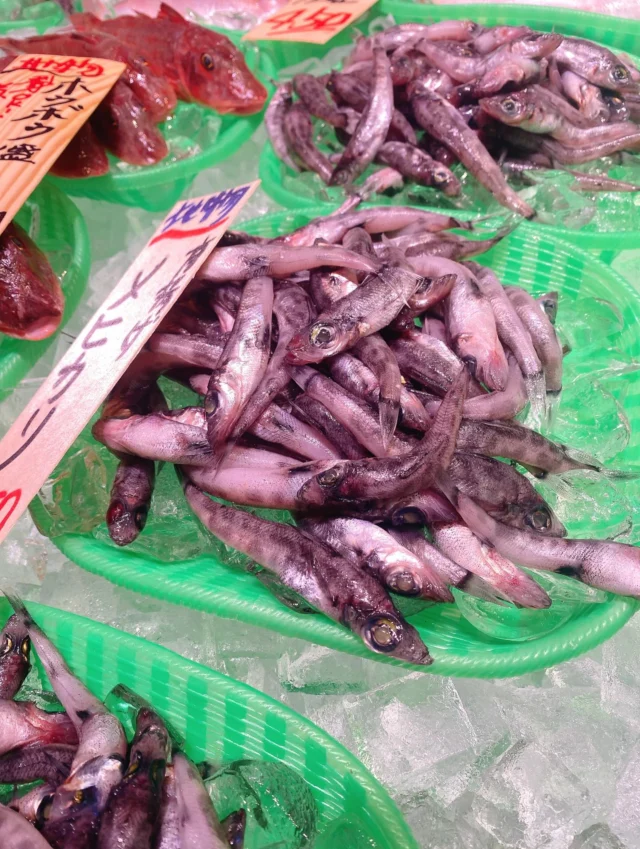 伊勢湾・三河湾は魚貝の宝庫、愛知県の主要漁港でセリ権を持つ俺たち。
ぴかぴかの魚貝類が水揚げ後すぐに魚市場に並びます！  ＼今日のおすすめ／  鮮度抜群のメヒカリだぜ！
うまみ成分のグルタミン酸がサンマの2倍と豊富で口の中でとろけるような食感です❣️
唐揚げが一番オススメの食べ方です‼️  お店は対面販売なので、どうやって魚を食べようか？下処理は？保存法は？
わからないことはお気軽に！　そんな疑問、全部魚太郎が解決します！  魚が捌けなくても大丈夫！
対面鮮魚コーナーでは無料で下処理行います。
毎日魚を扱うプロの魚屋にお任せ！  本日も沢山のピカピカの地魚と活気あふれるスタッフで
皆様のご来店をお待ちしております！  鮮魚市場に併設した、魚屋の浜焼きバーベキューがありますので
市場で買ってそのまま焼いて食べることが可能です！  最新入荷はストーリーズで配信中！
フォロー＆チェックしてくださいね！  皆様の「美味しい！」の声が、俺たちの元気の源です！  ▷入荷商品のお問合せは、お電話にてお願いします
▶その他お問合せDMではタイムリーな返答が致しかねます
体制が整っておらず、申し訳ありません🙇  -————————————————
📌ラグーナテンボス　フェスティバルマーケット内1F
店舗の場所は、観覧車の下が目印です🎡  🐟魚太郎ラグーナ蒲郡店 鮮魚市場
営業時間：　10：00～18：00
※海鮮丼・寿司のイートインコーナーあり  🔥魚太郎浜焼きバーベキュー ラグーナ蒲郡店
営業時間：
10:00～17:00(最終受付15:00)
駐車場：魚太郎浜焼きバーベキュー利用で最大5時間無料サービスあり
#魚太郎ラグーナ蒲郡店
#地魚
#鮮度にこだわる魚屋
#産直鮮魚
#蒲郡観光
#愛知海鮮
#めひかり