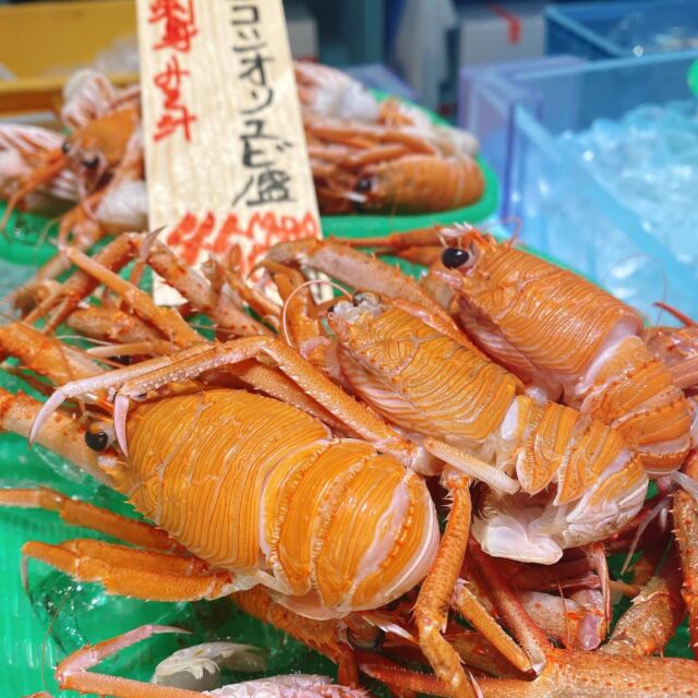 伊勢湾・三河湾は魚貝の宝庫、愛知県の主要漁港でセリ権を持つ俺たち。
ぴかぴかの魚貝類が水揚げ後すぐに魚市場に並びます！  ＼今日のおすすめ／  鮮度抜群のコシオリエビだぜ！
濃厚な甘さと強い旨味が特徴でエビのようでもあり、カニのような風味も感じられる独特な味わいです❣️
刺身や塩茹で、味噌汁の出汁にもオススメです‼️  お店は対面販売なので、どうやって魚を食べようか？下処理は？保存法は？
わからないことはお気軽に！　そんな疑問、全部魚太郎が解決します！  魚が捌けなくても大丈夫！
対面鮮魚コーナーでは無料で下処理行います。
毎日魚を扱うプロの魚屋にお任せ！  本日も沢山のピカピカの地魚と活気あふれるスタッフで
皆様のご来店をお待ちしております！  鮮魚市場に併設した、魚屋の浜焼きバーベキューがありますので
市場で買ってそのまま焼いて食べることが可能です！  最新入荷はストーリーズで配信中！
フォロー＆チェックしてくださいね！  皆様の「美味しい！」の声が、俺たちの元気の源です！  ▷入荷商品のお問合せは、お電話にてお願いします
▶その他お問合せDMではタイムリーな返答が致しかねます
体制が整っておらず、申し訳ありません🙇  -————————————————
📌ラグーナテンボス　フェスティバルマーケット内1F
店舗の場所は、観覧車の下が目印です🎡  🐟魚太郎ラグーナ蒲郡店 鮮魚市場
営業時間：　10：00～18：00
※海鮮丼・寿司のイートインコーナーあり  🔥魚太郎浜焼きバーベキュー ラグーナ蒲郡店
営業時間：
10:00～17:00(最終受付15:00)
駐車場：魚太郎浜焼きバーベキュー利用で最大5時間無料サービスあり
#魚太郎ラグーナ蒲郡店
#地魚
#鮮度にこだわる魚屋
#産直鮮魚
#蒲郡観光
#愛知海鮮
#コシオリエビ