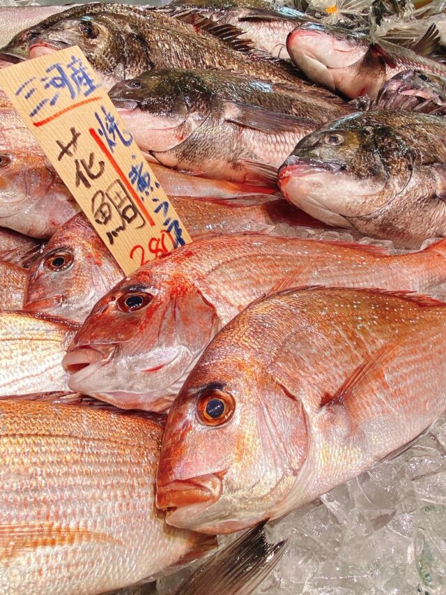 本日も張り切って営業中！
伊勢湾三河湾で水揚げされたばかりの地魚
しっかり揃ってます！  寒くなるにつれ
黒鯛の美味しい季節がやって来ました！
がつんとした旨味、ワイルドな味わい
新鮮だからこそブリブリの身質。
刺身、塩焼きなど
一尾丸ごと食べ尽くし！  アラはしっかり出汁が出るから
潮汁に  #魚太郎ラグーナ蒲郡店 
#鮮度抜群
#地魚