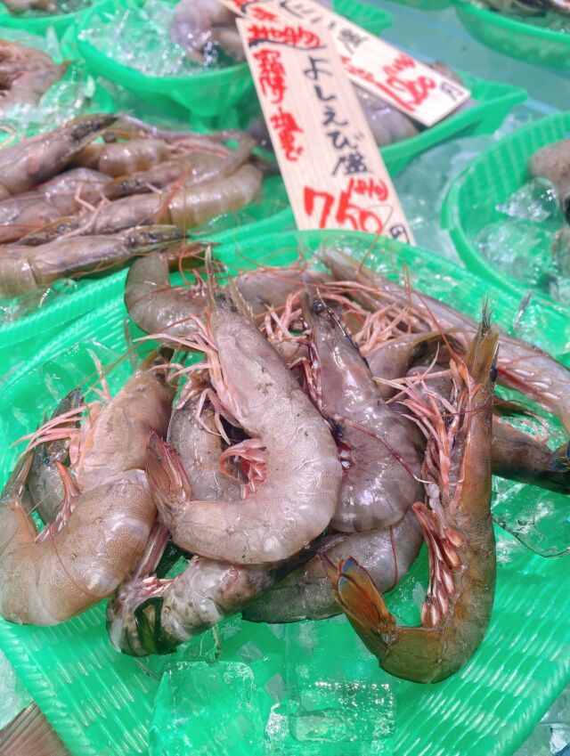 伊勢湾・三河湾は魚貝の宝庫、愛知県の主要漁港でセリ権を持つ俺たち。
ぴかぴかの魚貝類が水揚げ後すぐに魚市場に並びます！  ＼今日のおすすめ／  鮮度抜群のヨシエビだぜ！
濃厚な旨味と甘み、ぷりぷりした食感が特徴です❣️
天ぷらや塩茹で、しゃぶしゃぶなど幅広い食べ方が可能です‼️  お店は対面販売なので、どうやって魚を食べようか？下処理は？保存法は？
わからないことはお気軽に！　そんな疑問、全部魚太郎が解決します！  魚が捌けなくても大丈夫！
対面鮮魚コーナーでは無料で下処理行います。
毎日魚を扱うプロの魚屋にお任せ！  本日も沢山のピカピカの地魚と活気あふれるスタッフで
皆様のご来店をお待ちしております！  鮮魚市場に併設した、魚屋の浜焼きバーベキューがありますので
市場で買ってそのまま焼いて食べることが可能です！  最新入荷はストーリーズで配信中！
フォロー＆チェックしてくださいね！  皆様の「美味しい！」の声が、俺たちの元気の源です！  ▷入荷商品のお問合せは、お電話にてお願いします
▶その他お問合せDMではタイムリーな返答が致しかねます
体制が整っておらず、申し訳ありません🙇  -————————————————
📌ラグーナテンボス　フェスティバルマーケット内1F
店舗の場所は、観覧車の下が目印です🎡  🐟魚太郎ラグーナ蒲郡店 鮮魚市場
営業時間：　10：00～18：00
※海鮮丼・寿司のイートインコーナーあり  🔥魚太郎浜焼きバーベキュー ラグーナ蒲郡店
営業時間：
10:00～17:00(最終受付15:00)
駐車場：魚太郎浜焼きバーベキュー利用で最大5時間無料サービスあり
#魚太郎ラグーナ蒲郡店
#地魚
#鮮度にこだわる魚屋
#産直鮮魚
#蒲郡観光
#愛知海鮮
#よしえび