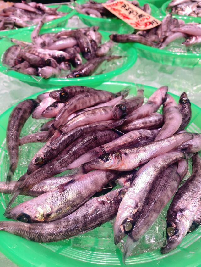 伊勢湾・三河湾は魚貝の宝庫、愛知県の主要漁港でセリ権を持つ俺たち。
ぴかぴかの魚貝類が水揚げ後すぐに魚市場に並びます！  ＼今日のおすすめ／  鮮度抜群のめひかりだぜ！
蒲郡の名産品で、脂が乗った白身が魅力の魚です‼️
唐揚げが一番定番ですが、塩焼きなどもオススメです❣️
お店は対面販売なので、どうやって魚を食べようか？下処理は？保存法は？
わからないことはお気軽に！　そんな疑問、全部魚太郎が解決します！  魚が捌けなくても大丈夫！
対面鮮魚コーナーでは無料で下処理行います。
毎日魚を扱うプロの魚屋にお任せ！  本日も沢山のピカピカの地魚と活気あふれるスタッフで
皆様のご来店をお待ちしております！  鮮魚市場に併設した、魚屋の浜焼きバーベキューがありますので
市場で買ってそのまま焼いて食べることが可能です！  最新入荷はストーリーズで配信中！
フォロー＆チェックしてくださいね！  皆様の「美味しい！」の声が、俺たちの元気の源です！  ▷入荷商品のお問合せは、お電話にてお願いします
▶その他お問合せDMではタイムリーな返答が致しかねます
体制が整っておらず、申し訳ありません🙇  -————————————————
📌ラグーナテンボス　フェスティバルマーケット内1F
店舗の場所は、観覧車の下が目印です🎡  🐟魚太郎ラグーナ蒲郡店 鮮魚市場
営業時間：　10：00～18：00
※海鮮丼・寿司のイートインコーナーあり  🔥魚太郎浜焼きバーベキュー ラグーナ蒲郡店
営業時間：
10:00～17:00(最終受付15:00)
駐車場：魚太郎浜焼きバーベキュー利用で最大5時間無料サービスあり
#魚太郎ラグーナ蒲郡店
#地魚
#鮮度にこだわる魚屋
#産直鮮魚
#蒲郡観光
#愛知海鮮
#めひかり