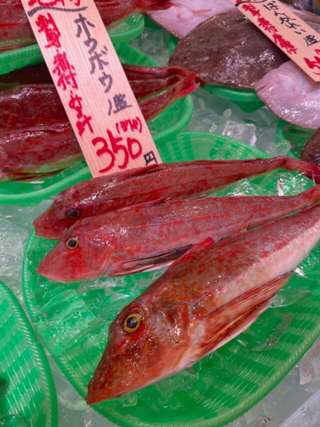 伊勢湾・三河湾は魚貝の宝庫、愛知県の主要漁港でセリ権を持つ俺たち。
ぴかぴかの魚貝類が水揚げ後すぐに魚市場に並びます！  ＼今日のおすすめ／  鮮度抜群の地物ホウボウだぜ！
クセのない美味しい白身の高級魚がお値打ちに入荷してます！お刺身や煮付け、お味噌汁などがオススメ！
美味しいホウボウいかがですか？！  お店は対面販売なので、どうやって魚を食べようか？下処理は？保存法は？
わからないことはお気軽に！　そんな疑問、全部魚太郎が解決します！  魚が捌けなくても大丈夫！
対面鮮魚コーナーでは無料で下処理行います。
毎日魚を扱うプロの魚屋にお任せ！  本日も沢山のピカピカの地魚と活気あふれるスタッフで
皆様のご来店をお待ちしております！  鮮魚市場に併設した、魚屋の浜焼きバーベキューがありますので
市場で買ってそのまま焼いて食べることが可能です！  最新入荷はストーリーズで配信中！
フォロー＆チェックしてくださいね！  皆様の「美味しい！」の声が、俺たちの元気の源です！  ▷入荷商品のお問合せは、お電話にてお願いします
▶その他お問合せDMではタイムリーな返答が致しかねます
体制が整っておらず、申し訳ありません🙇  -————————————————
📌ラグーナテンボス　フェスティバルマーケット内1F
店舗の場所は、観覧車の下が目印です🎡  🐟魚太郎ラグーナ蒲郡店 鮮魚市場
営業時間：　10：00～18：00
※海鮮丼・寿司のイートインコーナーあり  🔥魚太郎浜焼きバーベキュー ラグーナ蒲郡店
営業時間：
10:00～17:00(最終受付15:00)
駐車場：魚太郎浜焼きバーベキュー利用で最大5時間無料サービスあり
#魚太郎ラグーナ蒲郡店