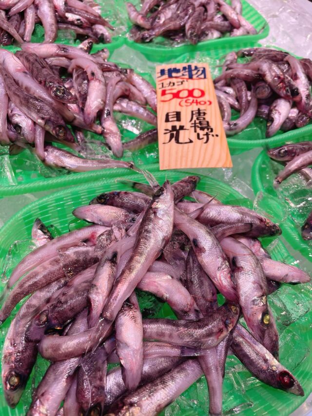 伊勢湾・三河湾は魚貝の宝庫、愛知県の主要漁港でセリ権を持つ俺たち。
ぴかぴかの魚貝類が水揚げ後すぐに魚市場に並びます！  ＼今日のおすすめ／  鮮度抜群のメヒカリだぜ！
唐揚げに丁度良いサイズの入荷です！
かたくりこと塩コショウで抜群にうまい！
味にあきたらそのまま南蛮漬けにしてもOK！  大人気の円盤牡蠣も今期初入荷！
生食できる旨いやつです！
味の濃い牡蠣で身が縮みにくいのでフライや鍋物にも使えます！  お店は対面販売なので、どうやって魚を食べようか？下処理は？保存法は？
わからないことはお気軽に！　そんな疑問、全部魚太郎が解決します！  魚が捌けなくても大丈夫！
対面鮮魚コーナーでは無料で下処理行います。
毎日魚を扱うプロの魚屋にお任せ！  本日も沢山のピカピカの地魚と活気あふれるスタッフで
皆様のご来店をお待ちしております！  鮮魚市場に併設した、魚屋の浜焼きバーベキューがありますので
市場で買ってそのまま焼いて食べることが可能です！  最新入荷はストーリーズで配信中！
フォロー＆チェックしてくださいね！  皆様の「美味しい！」の声が、俺たちの元気の源です！  ▷入荷商品のお問合せは、お電話にてお願いします
▶その他お問合せDMではタイムリーな返答が致しかねます
体制が整っておらず、申し訳ありません🙇  -————————————————
📌ラグーナテンボス　フェスティバルマーケット内1F
店舗の場所は、観覧車の下が目印です🎡  🐟魚太郎ラグーナ蒲郡店 鮮魚市場
営業時間：　10：00～18：00
※海鮮丼・寿司のイートインコーナーあり  🔥魚太郎浜焼きバーベキュー ラグーナ蒲郡店
営業時間：
10:00～17:00(最終受付15:00)
駐車場：魚太郎浜焼きバーベキュー利用で最大5時間無料サービスあり
#魚太郎ラグーナ蒲郡店