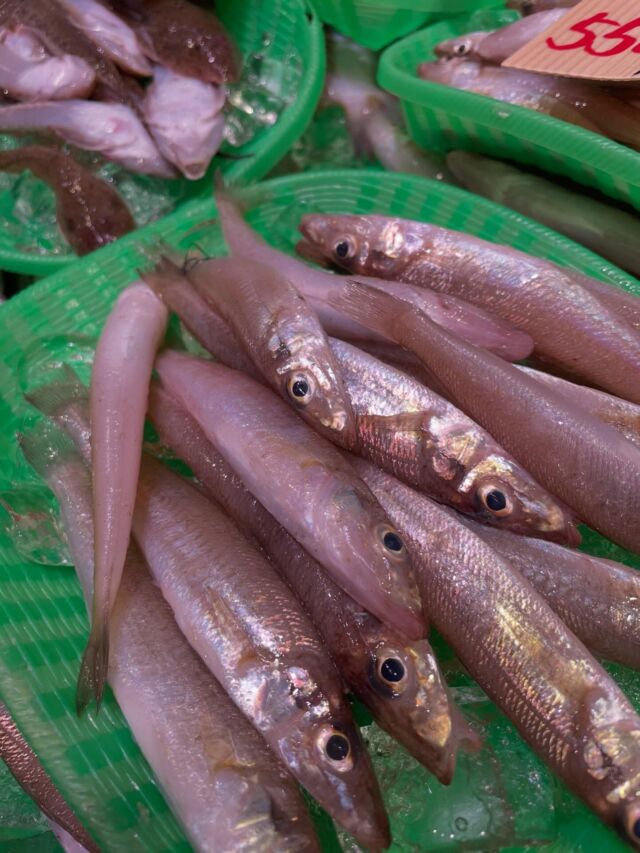 伊勢湾・三河湾は魚貝の宝庫、愛知県の主要漁港でセリ権を持つ俺たち。
ぴかぴかの魚貝類が水揚げ後すぐに魚市場に並びます！  ＼今日のおすすめ／  鮮度抜群の地物白キス！！天ぷらやフライもとっても美味しいですが、鮮度がいいのでぜひお刺身に！鮮度が本当に良くないとできない白キスのお刺身やりませんか？！
対面コーナーは地物天然平目がお値打ち！
地物茎わかめを使用したきんぴらもご用意しております！
珍しいまぐろのかまの干物も数量限定で入荷してます！  お店は対面販売なので、どうやって魚を食べようか？下処理は？保存法は？
わからないことはお気軽に！　そんな疑問、全部魚太郎が解決します！  魚が捌けなくても大丈夫！
対面鮮魚コーナーでは無料で下処理行います。
毎日魚を扱うプロの魚屋にお任せ！  本日も沢山のピカピカの地魚と活気あふれるスタッフで
皆様のご来店をお待ちしております！  鮮魚市場に併設した、魚屋の浜焼きバーベキューがありますので
市場で買ってそのまま焼いて食べることが可能です！  最新入荷はストーリーズで配信中！
フォロー＆チェックしてくださいね！  皆様の「美味しい！」の声が、俺たちの元気の源です！  ▷入荷商品のお問合せは、お電話にてお願いします
▶その他お問合せDMではタイムリーな返答が致しかねます
体制が整っておらず、申し訳ありません🙇  -————————————————
📌ラグーナテンボス　フェスティバルマーケット内1F
店舗の場所は、観覧車の下が目印です🎡  🐟魚太郎ラグーナ蒲郡店 鮮魚市場
営業時間：　10：00～18：00
※海鮮丼・寿司のイートインコーナーあり  🔥魚太郎浜焼きバーベキュー ラグーナ蒲郡店
営業時間：
平日10:00～17:00(最終受付15:00)
土日祝　10：00～19：00(最終受付17:00)
土日祝は　19：00迄　延長中
駐車場：魚太郎浜焼きバーベキュー利用で最大5時間無料サービスあり
(夏休み　2025/7/19-8/31は）
10：00～20：00（受付最終18:00）
＃魚太郎ラグーナ蒲郡店