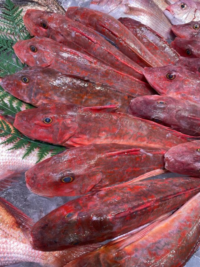 伊勢湾・三河湾は魚貝の宝庫、愛知県の主要漁港でセリ権を持つ俺たち。
ぴかぴかの魚貝類が水揚げ後すぐに魚市場に並びます！  ＼今日のおすすめ／  鮮度抜群の【地物　ホウボウ】だぜ！
【上品な身質で旨味がありお刺身でももちろんの事、煮付けやアクアパッツァや塩焼きでも⭕️本当に美味しいお魚なのでなにしても美味しいお魚なのでぜひお買い求めください】  お店は対面販売なので、どうやって魚を食べようか？下処理は？保存法は？
わからないことはお気軽に！　そんな疑問、全部魚太郎が解決します！  魚が捌けなくても大丈夫！
対面鮮魚コーナーでは無料で下処理行います。
毎日魚を扱うプロの魚屋にお任せ！  本日も沢山のピカピカの地魚と活気あふれるスタッフで
皆様のご来店をお待ちしております！  鮮魚市場に併設した、魚屋の浜焼きバーベキューがありますので
市場で買ってそのまま焼いて食べることが可能です！  最新入荷はストーリーズで配信中！
フォロー＆チェックしてくださいね！  皆様の「美味しい！」の声が、俺たちの元気の源です！  ▷入荷商品のお問合せは、お電話にてお願いします
▶その他お問合せDMではタイムリーな返答が致しかねます
体制が整っておらず、申し訳ありません🙇  -————————————————
📌ラグーナテンボス　フェスティバルマーケット内1F
店舗の場所は、観覧車の下が目印です🎡  🐟魚太郎ラグーナ蒲郡店 鮮魚市場
営業時間：　10：00～18：00
※海鮮丼・寿司のイートインコーナーあり  🔥魚太郎浜焼きバーベキュー ラグーナ蒲郡店
営業時間：
平日10:00～17:00(最終受付15:00)
土日祝　10：00～19：00(最終受付17:00)
土日祝は　19：00迄　延長中
駐車場：魚太郎浜焼きバーベキュー利用で最大5時間無料サービスあり
(夏休み　2025/7/19-8/31は）
10：00～20：00（受付最終18:00）