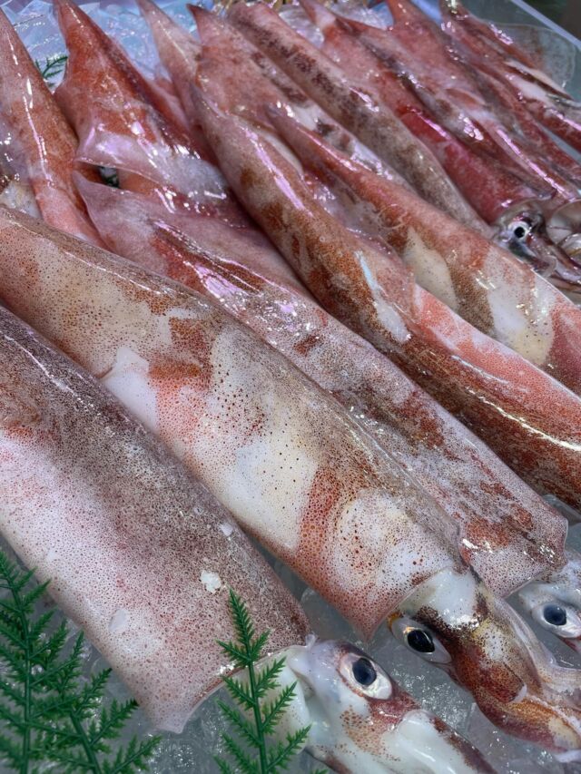 伊勢湾・三河湾は魚貝の宝庫、愛知県の主要漁港でセリ権を持つ俺たち。
ぴかぴかの魚貝類が水揚げ後すぐに魚市場に並びます！  ＼今日のおすすめ／  鮮度抜群の【地物やりいか】だぜ！
【ねっとりの甘みがありの獲れたてピカピカのヤリイカ！今日は刺身にもお寿司にもヤリイカ入ってます！】  お店は対面販売なので、どうやって魚を食べようか？下処理は？保存法は？
わからないことはお気軽に！　そんな疑問、全部魚太郎が解決します！  魚が捌けなくても大丈夫！
対面鮮魚コーナーでは無料で下処理行います。
毎日魚を扱うプロの魚屋にお任せ！  本日も沢山のピカピカの地魚と活気あふれるスタッフで
皆様のご来店をお待ちしております！  鮮魚市場に併設した、魚屋の浜焼きバーベキューがありますので
市場で買ってそのまま焼いて食べることが可能です！  最新入荷はストーリーズで配信中！
フォロー＆チェックしてくださいね！  皆様の「美味しい！」の声が、俺たちの元気の源です！  ▷入荷商品のお問合せは、お電話にてお願いします
▶その他お問合せDMではタイムリーな返答が致しかねます
体制が整っておらず、申し訳ありません🙇  -————————————————
📌ラグーナテンボス　フェスティバルマーケット内1F
店舗の場所は、観覧車の下が目印です🎡  🐟魚太郎ラグーナ蒲郡店 鮮魚市場
営業時間：　10：00～18：00
※海鮮丼・寿司のイートインコーナーあり  🔥魚太郎浜焼きバーベキュー ラグーナ蒲郡店
営業時間：
平日10:00～17:00(最終受付15:00)
土日祝　10：00～19：00(最終受付17:00)
土日祝は　19：00迄　延長中
駐車場：魚太郎浜焼きバーベキュー利用で最大5時間無料サービスあり
(夏休み　2025/7/19-8/31は）
10：00～20：00（受付最終18:00）
＃魚太郎ラグーナ蒲郡店