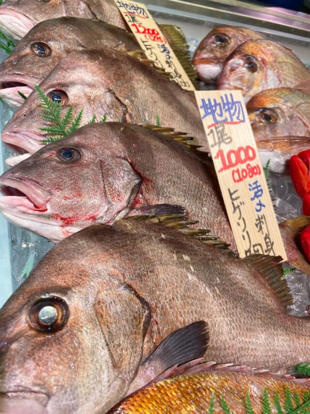 伊勢湾・三河湾は魚貝の宝庫、愛知県の主要漁港でセリ権を持つ俺たち。
ぴかぴかの魚貝類が水揚げ後すぐに魚市場に並びます！  ＼今日のおすすめ／  鮮度抜群の【地物　ヒゲソリ鯛】だぜ！
【あまり出回らないレアなお魚で身は弾力と甘みがある高級魚。お刺身はもちろん、火を通しても固くならず美味しく食べれる汎用の高いお魚です！】  お店は対面販売なので、どうやって魚を食べようか？下処理は？保存法は？
わからないことはお気軽に！　そんな疑問、全部魚太郎が解決します！  魚が捌けなくても大丈夫！
対面鮮魚コーナーでは無料で下処理行います。
毎日魚を扱うプロの魚屋にお任せ！  本日も沢山のピカピカの地魚と活気あふれるスタッフで
皆様のご来店をお待ちしております！  鮮魚市場に併設した、魚屋の浜焼きバーベキューがありますので
市場で買ってそのまま焼いて食べることが可能です！  最新入荷はストーリーズで配信中！
フォロー＆チェックしてくださいね！  皆様の「美味しい！」の声が、俺たちの元気の源です！  ▷入荷商品のお問合せは、お電話にてお願いします
▶その他お問合せDMではタイムリーな返答が致しかねます
体制が整っておらず、申し訳ありません🙇  -————————————————
📌ラグーナテンボス　フェスティバルマーケット内1F
店舗の場所は、観覧車の下が目印です🎡  🐟魚太郎ラグーナ蒲郡店 鮮魚市場
営業時間：　10：00～18：00
※海鮮丼・寿司のイートインコーナーあり  🔥魚太郎浜焼きバーベキュー ラグーナ蒲郡店
営業時間：
平日10:00～17:00(最終受付15:00)
土日祝　10：00～19：00(最終受付17:00)
土日祝は　19：00迄　延長中
駐車場：魚太郎浜焼きバーベキュー利用で最大5時間無料サービスあり
(夏休み　2025/7/19-8/31は）
10：00～20：00（受付最終18:00）
#魚太郎ラグーナ蒲郡店