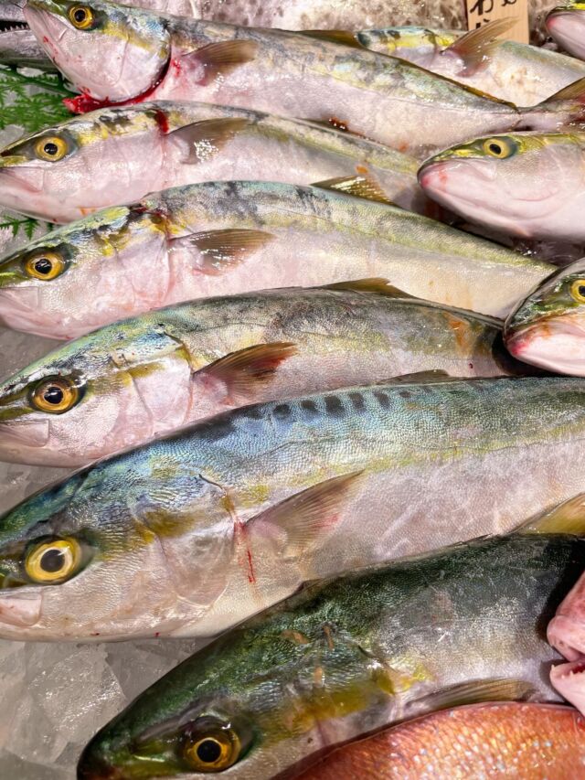 伊勢湾・三河湾は魚貝の宝庫、愛知県の主要漁港でセリ権を持つ俺たち。
ぴかぴかの魚貝類が水揚げ後すぐに魚市場に並びます！  ＼今日のおすすめ／
南知多産の天然ツバスです！
サイズは1キロほどでブリと比べると程よい脂乗りです！
今回のツバスは一尾一尾締めてあり血抜きも行って鮮度は最高の状態でご用意してます！  わからないことはお気軽に！　そんな疑問、全部魚太郎が解決します！  魚が捌けなくても大丈夫！
対面鮮魚コーナーでは無料で下処理行います。
毎日魚を扱うプロの魚屋にお任せ！  本日も沢山のピカピカの地魚と活気あふれるスタッフで
皆様のご来店をお待ちしております！  鮮魚市場に併設した、魚屋の浜焼きバーベキューがありますので
市場で買ってそのまま焼いて食べることが可能です！  最新入荷はストーリーズで配信中！
フォロー＆チェックしてくださいね！  皆様の「美味しい！」の声が、俺たちの元気の源です！  ▷入荷商品のお問合せは、お電話にてお願いします
▶その他お問合せDMではタイムリーな返答が致しかねます
体制が整っておらず、申し訳ありません🙇  -————————————————
📌ラグーナテンボス　フェスティバルマーケット内1F
店舗の場所は、観覧車の下が目印です🎡  🐟魚太郎ラグーナ蒲郡店 鮮魚市場
営業時間：　10：00～18：00
※海鮮丼・寿司のイートインコーナーあり  🔥魚太郎浜焼きバーベキュー ラグーナ蒲郡店
営業時間：
平日10:00～17:00(最終受付15:00)
土日祝　10：00～19：00(最終受付17:00)
土日祝は　19：00迄　延長中
駐車場：魚太郎浜焼きバーベキュー利用で最大5時間無料サービスあり
(夏休み　2025/7/19-8/31は）
10：00～20：00（受付最終18:00）
#魚太郎ラグーナ蒲郡店