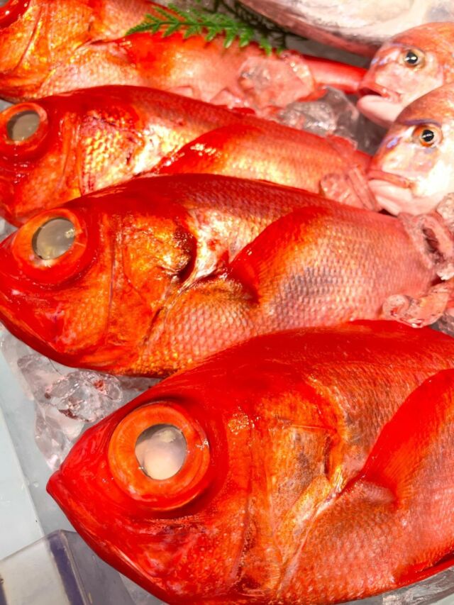 伊勢湾・三河湾は魚貝の宝庫、愛知県の主要漁港でセリ権を持つ俺たち。
ぴかぴかの魚貝類が水揚げ後すぐに魚市場に並びます！  ＼今日のおすすめ／  鮮度抜群の地物金目鯛！お刺身や湯引きはもちろん、ご家庭でも調理しやすいサイズ！丸々一尾お煮付けに！！
地物の小いかも久々入荷！お刺身、塩茹で、煮付けなどで！
あさりも美味しい季節！活けのあさりしっかりご用意してます！！  お店は対面販売なので、どうやって魚を食べようか？下処理は？保存法は？
わからないことはお気軽に！　そんな疑問、全部魚太郎が解決します！  魚が捌けなくても大丈夫！
対面鮮魚コーナーでは無料で下処理行います。
毎日魚を扱うプロの魚屋にお任せ！  本日も沢山のピカピカの地魚と活気あふれるスタッフで
皆様のご来店をお待ちしております！  鮮魚市場に併設した、魚屋の浜焼きバーベキューがありますので
市場で買ってそのまま焼いて食べることが可能です！  最新入荷はストーリーズで配信中！
フォロー＆チェックしてくださいね！  皆様の「美味しい！」の声が、俺たちの元気の源です！  ▷入荷商品のお問合せは、お電話にてお願いします
▶その他お問合せDMではタイムリーな返答が致しかねます
体制が整っておらず、申し訳ありません🙇  -————————————————
📌ラグーナテンボス　フェスティバルマーケット内1F
店舗の場所は、観覧車の下が目印です🎡  🐟魚太郎ラグーナ蒲郡店 鮮魚市場
営業時間：　10：00～18：00
※海鮮丼・寿司のイートインコーナーあり  🔥魚太郎浜焼きバーベキュー ラグーナ蒲郡店
営業時間：
平日10:00～17:00(最終受付15:00)
土日祝　10：00～19：00(最終受付17:00)
土日祝は　19：00迄　延長中
駐車場：魚太郎浜焼きバーベキュー利用で最大5時間無料サービスあり
(夏休み　2025/7/19-8/31は）
10：00～20：00（受付最終18:00）
#魚太郎ラグーナ蒲郡店