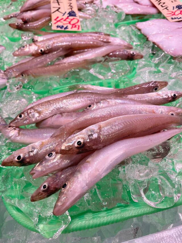 伊勢湾・三河湾は魚貝の宝庫、愛知県の主要漁港でセリ権を持つ俺たち。
ぴかぴかの魚貝類が水揚げ後すぐに魚市場に並びます！  ＼今日のおすすめ／
朝のセリから直送！朝獲れの白キス！
数時間前まで海で泳いでたそんな鮮度抜群の白キスが
入荷しました！
お刺身はもちろん、天ぷらやフライでも美味しく召し上がれます！  わからないことはお気軽に！　そんな疑問、全部魚太郎が解決します！  魚が捌けなくても大丈夫！
対面鮮魚コーナーでは無料で下処理行います。
毎日魚を扱うプロの魚屋にお任せ！  本日も沢山のピカピカの地魚と活気あふれるスタッフで
皆様のご来店をお待ちしております！  鮮魚市場に併設した、魚屋の浜焼きバーベキューがありますので
市場で買ってそのまま焼いて食べることが可能です！  最新入荷はストーリーズで配信中！
フォロー＆チェックしてくださいね！  皆様の「美味しい！」の声が、俺たちの元気の源です！  ▷入荷商品のお問合せは、お電話にてお願いします
▶その他お問合せDMではタイムリーな返答が致しかねます
体制が整っておらず、申し訳ありません🙇  -————————————————
📌ラグーナテンボス　フェスティバルマーケット内1F
店舗の場所は、観覧車の下が目印です🎡  🐟魚太郎ラグーナ蒲郡店 鮮魚市場
営業時間：　10：00～18：00
※海鮮丼・寿司のイートインコーナーあり  🔥魚太郎浜焼きバーベキュー ラグーナ蒲郡店
営業時間：
平日10:00～17:00(最終受付15:00)
土日祝　10：00～19：00(最終受付17:00)
土日祝は　19：00迄　延長中
駐車場：魚太郎浜焼きバーベキュー利用で最大5時間無料サービスあり
(夏休み　2025/7/19-8/31は）
10：00～20：00（受付最終18:00）
#魚太郎ラグーナ蒲郡店