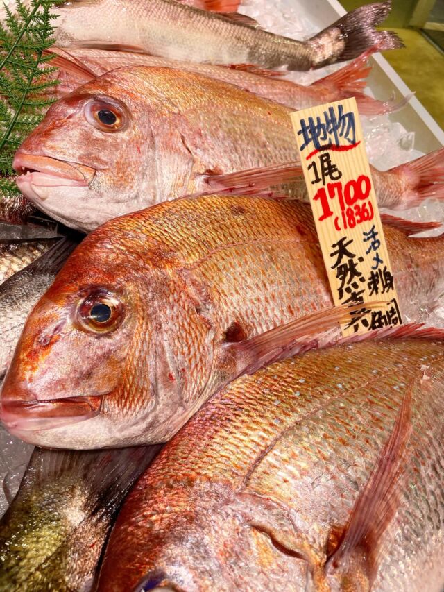 伊勢湾・三河湾は魚貝の宝庫、愛知県の主要漁港でセリ権を持つ俺たち。
ぴかぴかの魚貝類が水揚げ後すぐに魚市場に並びます！  ＼今日のおすすめ／
南知多産の天然真鯛！
なんと破格2キロサイズで1700円です！（1836円）
めっちゃ安くないですか！？！？
しかも身質も脂乗りも最高なんです！！！✨  わからないことはお気軽に！　そんな疑問、全部魚太郎が解決します！  魚が捌けなくても大丈夫！
対面鮮魚コーナーでは無料で下処理行います。
毎日魚を扱うプロの魚屋にお任せ！  本日も沢山のピカピカの地魚と活気あふれるスタッフで
皆様のご来店をお待ちしております！  鮮魚市場に併設した、魚屋の浜焼きバーベキューがありますので
市場で買ってそのまま焼いて食べることが可能です！  最新入荷はストーリーズで配信中！
フォロー＆チェックしてくださいね！  皆様の「美味しい！」の声が、俺たちの元気の源です！  ▷入荷商品のお問合せは、お電話にてお願いします
▶その他お問合せDMではタイムリーな返答が致しかねます
体制が整っておらず、申し訳ありません🙇  -————————————————
📌ラグーナテンボス　フェスティバルマーケット内1F
店舗の場所は、観覧車の下が目印です🎡  🐟魚太郎ラグーナ蒲郡店 鮮魚市場
営業時間：　10：00～18：00
※海鮮丼・寿司のイートインコーナーあり  🔥魚太郎浜焼きバーベキュー ラグーナ蒲郡店
営業時間：
平日10:00～17:00(最終受付15:00)
土日祝　10：00～19：00(最終受付17:00)
土日祝は　19：00迄　延長中
駐車場：魚太郎浜焼きバーベキュー利用で最大5時間無料サービスあり
(夏休み　2025/7/19-8/31は）
10：00～20：00（受付最終18:00）
#魚太郎ラグーナ蒲郡店