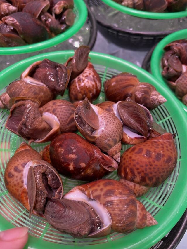伊勢湾・三河湾は魚貝の宝庫、愛知県の主要漁港でセリ権を持つ俺たち。
ぴかぴかの魚貝類が水揚げ後すぐに魚市場に並びます！  ＼今日のおすすめ／
地物ばい貝！煮付けが美味しいです！！
本日も地物の天然鯛がお値打ち！まだ食べてないという方はぜひ！！
形原より入荷の金目鯛やメヒカリもお値打ちです！  わからないことはお気軽に！　そんな疑問、全部魚太郎が解決します！  魚が捌けなくても大丈夫！
対面鮮魚コーナーでは無料で下処理行います。
毎日魚を扱うプロの魚屋にお任せ！  本日も沢山のピカピカの地魚と活気あふれるスタッフで
皆様のご来店をお待ちしております！  鮮魚市場に併設した、魚屋の浜焼きバーベキューがありますので
市場で買ってそのまま焼いて食べることが可能です！  最新入荷はストーリーズで配信中！
フォロー＆チェックしてくださいね！  皆様の「美味しい！」の声が、俺たちの元気の源です！  ▷入荷商品のお問合せは、お電話にてお願いします
▶その他お問合せDMではタイムリーな返答が致しかねます
体制が整っておらず、申し訳ありません🙇  -————————————————
📌ラグーナテンボス　フェスティバルマーケット内1F
店舗の場所は、観覧車の下が目印です🎡  🐟魚太郎ラグーナ蒲郡店 鮮魚市場
営業時間：　10：00～18：00
※海鮮丼・寿司のイートインコーナーあり  🔥魚太郎浜焼きバーベキュー ラグーナ蒲郡店
営業時間：
平日10:00～17:00(最終受付15:00)
土日祝　10：00～19：00(最終受付17:00)
土日祝は　19：00迄　延長中
駐車場：魚太郎浜焼きバーベキュー利用で最大5時間無料サービスあり
(夏休み　2025/7/19-8/31は）
10：00～20：00（受付最終18:00）
#魚太郎ラグーナ蒲郡店