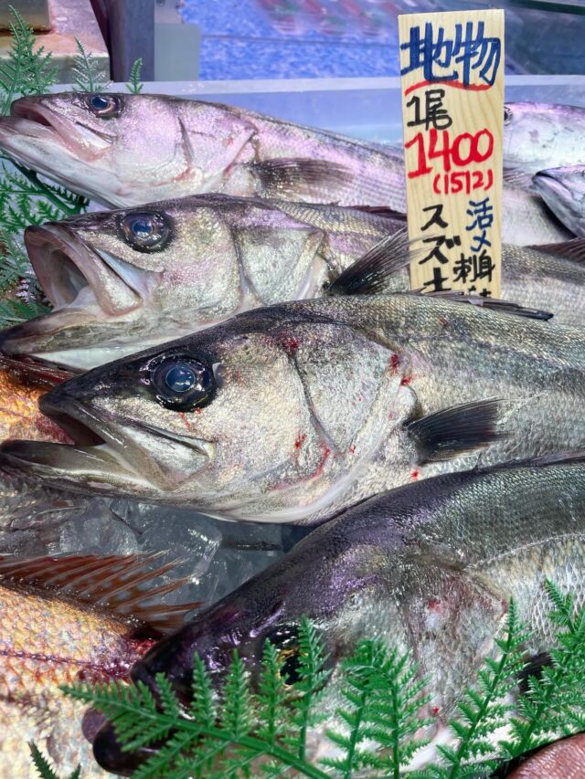 伊勢湾・三河湾は魚貝の宝庫、愛知県の主要漁港でセリ権を持つ俺たち。
ぴかぴかの魚貝類が水揚げ後すぐに魚市場に並びます！  ＼今日のおすすめ／  鮮度抜群の【地物　天然スズキ】だぜ！
【鮮度抜群！身質も脂ノリも最高のスズキ！夏が旬のスズキですが今シーズンは今からでも最高です！卸した身は包丁に脂がつくほど！これはたまりませんよ！しかも安い！夏場は１尾7000円ほどしますが今は何と1400円から〜お買い求めできます！】  お店は対面販売なので、どうやって魚を食べようか？下処理は？保存法は？
わからないことはお気軽に！　そんな疑問、全部魚太郎が解決します！  魚が捌けなくても大丈夫！
対面鮮魚コーナーでは無料で下処理行います。
毎日魚を扱うプロの魚屋にお任せ！  本日も沢山のピカピカの地魚と活気あふれるスタッフで
皆様のご来店をお待ちしております！  鮮魚市場に併設した、魚屋の浜焼きバーベキューがありますので
市場で買ってそのまま焼いて食べることが可能です！  最新入荷はストーリーズで配信中！
フォロー＆チェックしてくださいね！  皆様の「美味しい！」の声が、俺たちの元気の源です！  ▷入荷商品のお問合せは、お電話にてお願いします
▶その他お問合せDMではタイムリーな返答が致しかねます
体制が整っておらず、申し訳ありません🙇  -————————————————
📌ラグーナテンボス　フェスティバルマーケット内1F
店舗の場所は、観覧車の下が目印です🎡  🐟魚太郎ラグーナ蒲郡店 鮮魚市場
営業時間：　10：00～18：00
※海鮮丼・寿司のイートインコーナーあり  🔥魚太郎浜焼きバーベキュー ラグーナ蒲郡店
営業時間：
平日10:00～17:00(最終受付15:00)
土日祝　10：00～19：00(最終受付17:00)
土日祝は　19：00迄　延長中
駐車場：魚太郎浜焼きバーベキュー利用で最大5時間無料サービスあり
(夏休み　2025/7/19-8/31は）
10：00～20：00（受付最終18:00）
#魚太郎ラグーナ蒲郡店