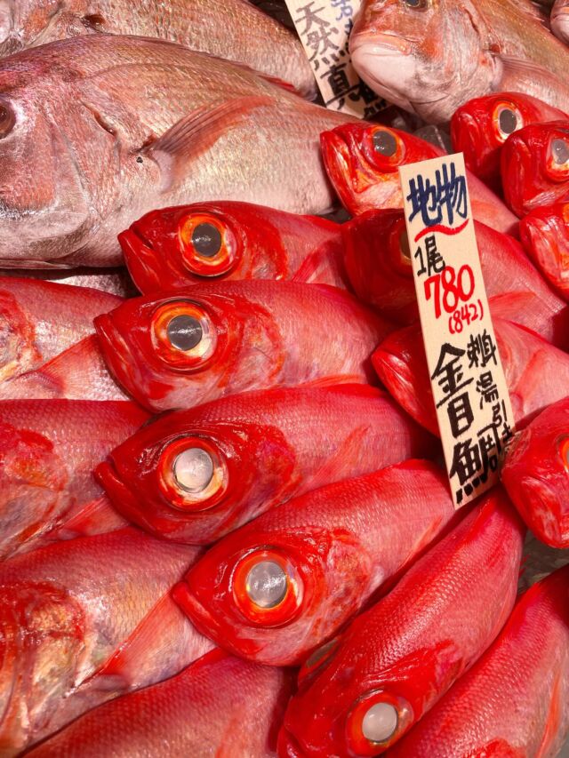 伊勢湾・三河湾は魚貝の宝庫、愛知県の主要漁港でセリ権を持つ俺たち。
ぴかぴかの魚貝類が水揚げ後すぐに魚市場に並びます！  ＼今日のおすすめ／
獲れたて！形原漁港直送の金目鯛です！🐟
なんとあの高級魚の金目鯛が1000円以下！
しかもお刺身で食べれるほどの鮮度！
スーパーでは絶対に有り得ません！
刺身や皮目を湯引きして湯霜で食べるのも
煮付け、焼き魚、蒸し料理でもとっても美味しく召し上がれます✨
わからないことはお気軽に！　そんな疑問、全部魚太郎が解決します！  魚が捌けなくても大丈夫！
対面鮮魚コーナーでは無料で下処理行います。
毎日魚を扱うプロの魚屋にお任せ！  本日も沢山のピカピカの地魚と活気あふれるスタッフで
皆様のご来店をお待ちしております！  鮮魚市場に併設した、魚屋の浜焼きバーベキューがありますので
市場で買ってそのまま焼いて食べることが可能です！  最新入荷はストーリーズで配信中！
フォロー＆チェックしてくださいね！  皆様の「美味しい！」の声が、俺たちの元気の源です！  ▷入荷商品のお問合せは、お電話にてお願いします
▶その他お問合せDMではタイムリーな返答が致しかねます
体制が整っておらず、申し訳ありません🙇  -————————————————
📌ラグーナテンボス　フェスティバルマーケット内1F
店舗の場所は、観覧車の下が目印です🎡  🐟魚太郎ラグーナ蒲郡店 鮮魚市場
営業時間：　10：00～18：00
※海鮮丼・寿司のイートインコーナーあり  🔥魚太郎浜焼きバーベキュー ラグーナ蒲郡店
営業時間：
平日10:00～17:00(最終受付15:00)
土日祝　10：00～19：00(最終受付17:00)
土日祝は　19：00迄　延長中
駐車場：魚太郎浜焼きバーベキュー利用で最大5時間無料サービスあり
(夏休み　2025/7/19-8/31は）
10：00～20：00（受付最終18:00）
#魚太郎ラグーナ蒲郡店