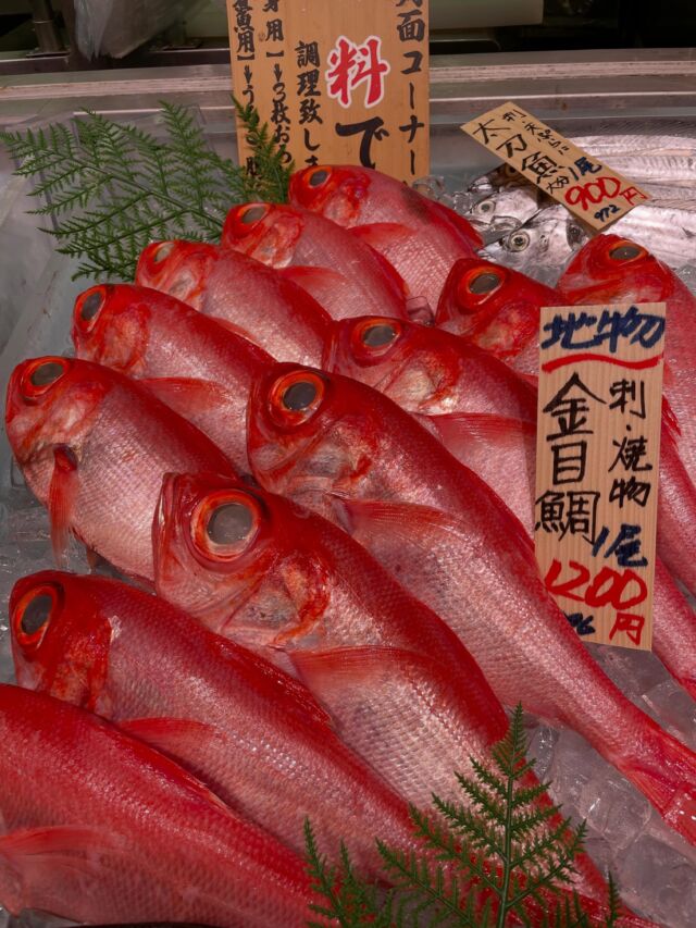 伊勢湾・三河湾は魚貝の宝庫、愛知県の主要漁港でセリ権を持つ俺たち。
ぴかぴかの魚貝類が水揚げ後すぐに魚市場に並びます！  ＼今日のおすすめ／
三河　形原漁港から直送からの金目鯛です！
しっかり内臓脂肪もあり脂乗りも最高です！
高級魚の金目鯛がしかも破格の1200円です！
もちろんお刺身でも召し上がれます！🤤  わからないことはお気軽に！　そんな疑問、全部魚太郎が解決します！  魚が捌けなくても大丈夫！
対面鮮魚コーナーでは無料で下処理行います。
毎日魚を扱うプロの魚屋にお任せ！  本日も沢山のピカピカの地魚と活気あふれるスタッフで
皆様のご来店をお待ちしております！  鮮魚市場に併設した、魚屋の浜焼きバーベキューがありますので
市場で買ってそのまま焼いて食べることが可能です！  最新入荷はストーリーズで配信中！
フォロー＆チェックしてくださいね！  皆様の「美味しい！」の声が、俺たちの元気の源です！  ▷入荷商品のお問合せは、お電話にてお願いします
▶その他お問合せDMではタイムリーな返答が致しかねます
体制が整っておらず、申し訳ありません🙇  -————————————————
📌ラグーナテンボス　フェスティバルマーケット内1F
店舗の場所は、観覧車の下が目印です🎡  🐟魚太郎ラグーナ蒲郡店 鮮魚市場
営業時間：　10：00～18：00
※海鮮丼・寿司のイートインコーナーあり  🔥魚太郎浜焼きバーベキュー ラグーナ蒲郡店
営業時間：
平日10:00～17:00(最終受付15:00)
土日祝　10：00～19：00(最終受付17:00)
土日祝は　19：00迄　延長中
駐車場：魚太郎浜焼きバーベキュー利用で最大5時間無料サービスあり
(夏休み　2025/7/19-8/31は）
10：00～20：00（受付最終18:00）
#魚太郎ラグーナ蒲郡店