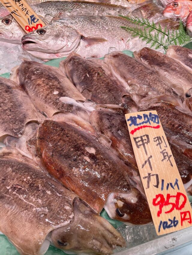 伊勢湾・三河湾は魚貝の宝庫、愛知県の主要漁港でセリ権を持つ俺たち。
ぴかぴかの魚貝類が水揚げ後すぐに魚市場に並びます！  ＼今日のおすすめ／
春といえばイカの季節でもあります！🦑
鮮度が良すぎてまだゴリゴリの身質です！😳
そのまま食べてもゴリゴリの食感を楽しめますし
一晩寝かせてもっちり食感を楽しむこともできます！  わからないことはお気軽に！　そんな疑問、全部魚太郎が解決します！  魚が捌けなくても大丈夫！
対面鮮魚コーナーでは無料で下処理行います。
毎日魚を扱うプロの魚屋にお任せ！  本日も沢山のピカピカの地魚と活気あふれるスタッフで
皆様のご来店をお待ちしております！  鮮魚市場に併設した、魚屋の浜焼きバーベキューがありますので
市場で買ってそのまま焼いて食べることが可能です！  最新入荷はストーリーズで配信中！
フォロー＆チェックしてくださいね！  皆様の「美味しい！」の声が、俺たちの元気の源です！  ▷入荷商品のお問合せは、お電話にてお願いします
▶その他お問合せDMではタイムリーな返答が致しかねます
体制が整っておらず、申し訳ありません🙇  -————————————————
📌ラグーナテンボス　フェスティバルマーケット内1F
店舗の場所は、観覧車の下が目印です🎡  🐟魚太郎ラグーナ蒲郡店 鮮魚市場
営業時間：　10：00～18：00
※海鮮丼・寿司のイートインコーナーあり  🔥魚太郎浜焼きバーベキュー ラグーナ蒲郡店
営業時間：
平日10:00～17:00(最終受付15:00)
土日祝　10：00～19：00(最終受付17:00)
土日祝は　19：00迄　延長中
駐車場：魚太郎浜焼きバーベキュー利用で最大5時間無料サービスあり
(夏休み　2025/7/19-8/31は）
10：00～20：00（受付最終18:00）
#魚太郎ラグーナ蒲郡店