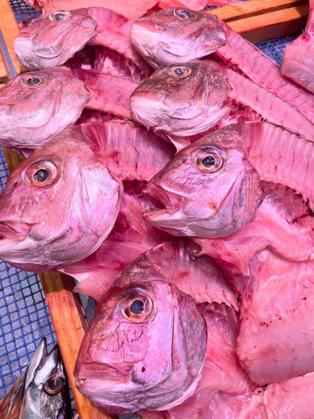 伊勢湾・三河湾は魚貝の宝庫、愛知県の主要漁港でセリ権を持つ俺たち。
ぴかぴかの魚貝類が水揚げ後すぐに魚市場に並びます！  ＼今日のおすすめ／
鮮魚ではないですが…魚太郎自家製の地物天然真鯛の干物がオススメ！サイズは大きいのにお値打ちな価格での販売となっております！  わからないことはお気軽に！　そんな疑問、全部魚太郎が解決します！  魚が捌けなくても大丈夫！
対面鮮魚コーナーでは無料で下処理行います。
毎日魚を扱うプロの魚屋にお任せ！  本日も沢山のピカピカの地魚と活気あふれるスタッフで
皆様のご来店をお待ちしております！  鮮魚市場に併設した、魚屋の浜焼きバーベキューがありますので
市場で買ってそのまま焼いて食べることが可能です！  最新入荷はストーリーズで配信中！
フォロー＆チェックしてくださいね！  皆様の「美味しい！」の声が、俺たちの元気の源です！  ▷入荷商品のお問合せは、お電話にてお願いします
▶その他お問合せDMではタイムリーな返答が致しかねます
体制が整っておらず、申し訳ありません🙇  -————————————————
📌ラグーナテンボス　フェスティバルマーケット内1F
店舗の場所は、観覧車の下が目印です🎡  🐟魚太郎ラグーナ蒲郡店 鮮魚市場
営業時間：　10：00～18：00
※海鮮丼・寿司のイートインコーナーあり  🔥魚太郎浜焼きバーベキュー ラグーナ蒲郡店
営業時間：
平日10:00～17:00(最終受付15:00)
土日祝　10：00～19：00(最終受付17:00)
土日祝は　19：00迄　延長中
駐車場：魚太郎浜焼きバーベキュー利用で最大5時間無料サービスあり
(夏休み　2025/7/19-8/31は）
10：00～20：00（受付最終18:00）
#魚太郎ラグーナ蒲郡店