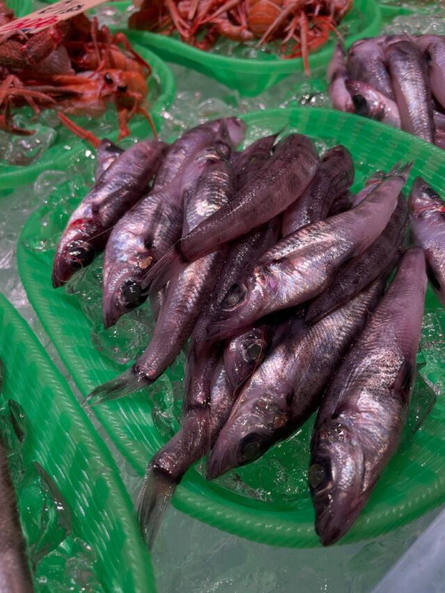 伊勢湾・三河湾は魚貝の宝庫、愛知県の主要漁港でセリ権を持つ俺たち。
ぴかぴかの魚貝類が水揚げ後すぐに魚市場に並びます！  ＼今日のおすすめ／
形原漁港直送の獲れたてメヒカリです！
蒲郡といえばメヒカリですよね！🐟
まだ鱗もびっしりついてるぐらい鮮度抜群のメヒカリが入荷しました！
お刺身でも召し上がれますし
定番はもちろん頭付きでそのまま唐揚げですよね！😋  わからないことはお気軽に！　そんな疑問、全部魚太郎が解決します！  魚が捌けなくても大丈夫！
対面鮮魚コーナーでは無料で下処理行います。
毎日魚を扱うプロの魚屋にお任せ！  本日も沢山のピカピカの地魚と活気あふれるスタッフで
皆様のご来店をお待ちしております！  鮮魚市場に併設した、魚屋の浜焼きバーベキューがありますので
市場で買ってそのまま焼いて食べることが可能です！  最新入荷はストーリーズで配信中！
フォロー＆チェックしてくださいね！  皆様の「美味しい！」の声が、俺たちの元気の源です！  ▷入荷商品のお問合せは、お電話にてお願いします
▶その他お問合せDMではタイムリーな返答が致しかねます
体制が整っておらず、申し訳ありません🙇  -————————————————
📌ラグーナテンボス　フェスティバルマーケット内1F
店舗の場所は、観覧車の下が目印です🎡  🐟魚太郎ラグーナ蒲郡店 鮮魚市場
営業時間：　10：00～18：00
※海鮮丼・寿司のイートインコーナーあり  🔥魚太郎浜焼きバーベキュー ラグーナ蒲郡店
営業時間：
平日10:00～17:00(最終受付15:00)
土日祝　10：00～19：00(最終受付17:00)
土日祝は　19：00迄　延長中
駐車場：魚太郎浜焼きバーベキュー利用で最大5時間無料サービスあり
(夏休み　2025/7/19-8/31は）
10：00～20：00（受付最終18:00）
#魚太郎ラグーナ蒲郡店