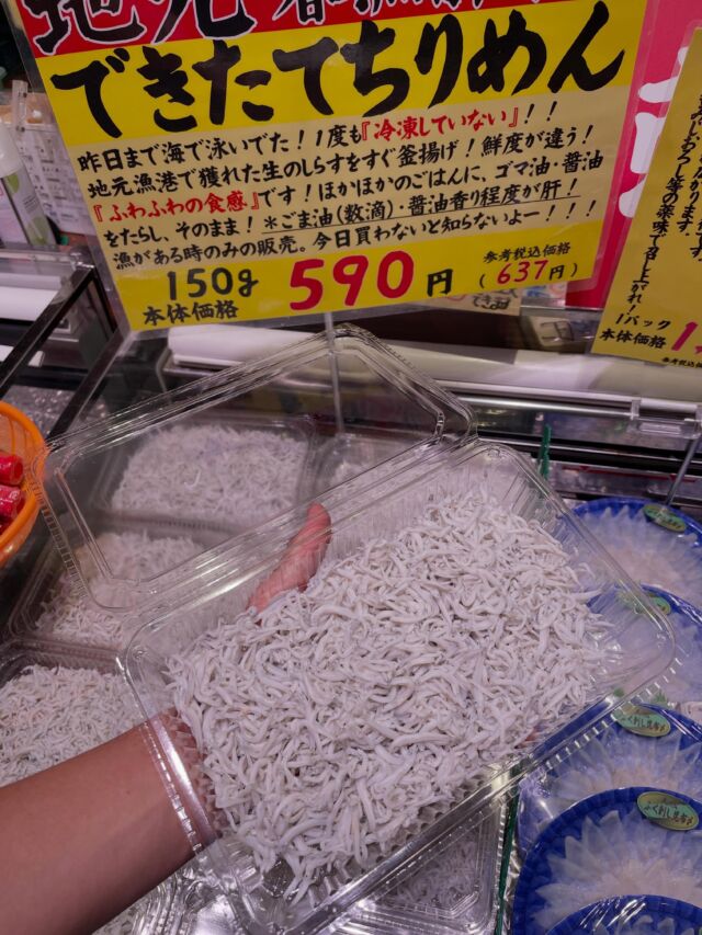 伊勢湾・三河湾は魚貝の宝庫、愛知県の主要漁港でセリ権を持つ俺たち。
ぴかぴかの魚貝類が水揚げ後すぐに魚市場に並びます！  ＼今日のおすすめ／
お魚ももちろんオススメですが…
なんといっても出来立てのちりめんがオススメです！
一度も冷凍してないふらふら食感です！
冷凍品しか食べたことないお客様にはぜひ食べてほしいです！
ちりめんの美味しさがわかるはずです！
わからないことはお気軽に！　そんな疑問、全部魚太郎が解決します！  魚が捌けなくても大丈夫！
対面鮮魚コーナーでは無料で下処理行います。
毎日魚を扱うプロの魚屋にお任せ！  本日も沢山のピカピカの地魚と活気あふれるスタッフで
皆様のご来店をお待ちしております！  鮮魚市場に併設した、魚屋の浜焼きバーベキューがありますので
市場で買ってそのまま焼いて食べることが可能です！  最新入荷はストーリーズで配信中！
フォロー＆チェックしてくださいね！  皆様の「美味しい！」の声が、俺たちの元気の源です！  ▷入荷商品のお問合せは、お電話にてお願いします
▶その他お問合せDMではタイムリーな返答が致しかねます
体制が整っておらず、申し訳ありません🙇  -————————————————
📌ラグーナテンボス　フェスティバルマーケット内1F
店舗の場所は、観覧車の下が目印です🎡  🐟魚太郎ラグーナ蒲郡店 鮮魚市場
営業時間：　10：00～18：00
※海鮮丼・寿司のイートインコーナーあり  🔥魚太郎浜焼きバーベキュー ラグーナ蒲郡店
営業時間：
平日10:00～17:00(最終受付15:00)
土日祝　10：00～19：00(最終受付17:00)
土日祝は　19：00迄　延長中
駐車場：魚太郎浜焼きバーベキュー利用で最大5時間無料サービスあり
(夏休み　2025/7/19-8/31は）
10：00～20：00（受付最終18:00）
#魚太郎ラグーナ蒲郡店
