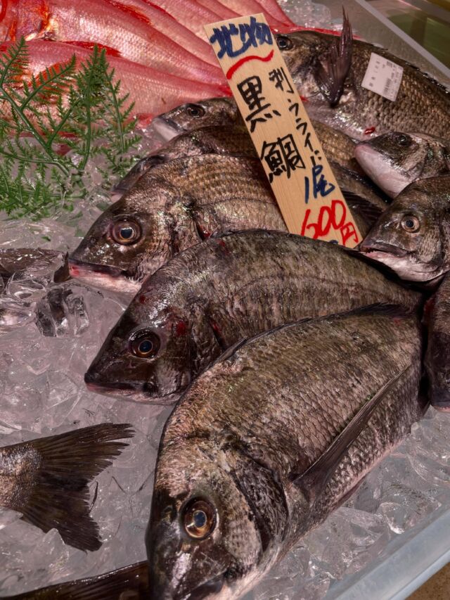 伊勢湾・三河湾は魚貝の宝庫、愛知県の主要漁港でセリ権を持つ俺たち。
ぴかぴかの魚貝類が水揚げ後すぐに魚市場に並びます！  ＼今日のおすすめ／
南知多の漁師さん直送の黒鯛です！
セリではなく漁師から直接買い付けた黒鯛になります
より鮮度抜群でなおかつめちゃめちゃ破格でご提供してます！
わからないことはお気軽に！　そんな疑問、全部魚太郎が解決します！  魚が捌けなくても大丈夫！
対面鮮魚コーナーでは無料で下処理行います。
毎日魚を扱うプロの魚屋にお任せ！  本日も沢山のピカピカの地魚と活気あふれるスタッフで
皆様のご来店をお待ちしております！  鮮魚市場に併設した、魚屋の浜焼きバーベキューがありますので
市場で買ってそのまま焼いて食べることが可能です！  最新入荷はストーリーズで配信中！
フォロー＆チェックしてくださいね！  皆様の「美味しい！」の声が、俺たちの元気の源です！  ▷入荷商品のお問合せは、お電話にてお願いします
▶その他お問合せDMではタイムリーな返答が致しかねます
体制が整っておらず、申し訳ありません🙇  -————————————————
📌ラグーナテンボス　フェスティバルマーケット内1F
店舗の場所は、観覧車の下が目印です🎡  🐟魚太郎ラグーナ蒲郡店 鮮魚市場
営業時間：　10：00～18：00
※海鮮丼・寿司のイートインコーナーあり  🔥魚太郎浜焼きバーベキュー ラグーナ蒲郡店
営業時間：
平日10:00～17:00(最終受付15:00)
土日祝　10：00～19：00(最終受付17:00)
土日祝は　19：00迄　延長中
駐車場：魚太郎浜焼きバーベキュー利用で最大5時間無料サービスあり
(夏休み　2025/7/19-8/31は）
10：00～20：00（受付最終18:00）
#魚太郎ラグーナ蒲郡店