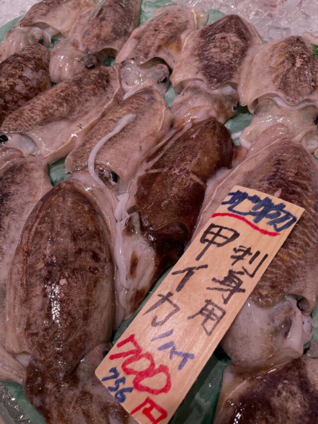 伊勢湾・三河湾は魚貝の宝庫、愛知県の主要漁港でセリ権を持つ俺たち。
ぴかぴかの魚貝類が水揚げ後すぐに魚市場に並びます！  ＼今日のおすすめ／
獲れたて！甲イカが久しぶりに入荷いたしました！🦑
コリッコリの食感で甘みもありとっても美味しいイカですよ🦑
わからないことはお気軽に！　そんな疑問、全部魚太郎が解決します！  魚が捌けなくても大丈夫！
対面鮮魚コーナーでは無料で下処理行います。
毎日魚を扱うプロの魚屋にお任せ！  本日も沢山のピカピカの地魚と活気あふれるスタッフで
皆様のご来店をお待ちしております！  鮮魚市場に併設した、魚屋の浜焼きバーベキューがありますので
市場で買ってそのまま焼いて食べることが可能です！  最新入荷はストーリーズで配信中！
フォロー＆チェックしてくださいね！  皆様の「美味しい！」の声が、俺たちの元気の源です！  ▷入荷商品のお問合せは、お電話にてお願いします
▶その他お問合せDMではタイムリーな返答が致しかねます
体制が整っておらず、申し訳ありません🙇  -————————————————
📌ラグーナテンボス　フェスティバルマーケット内1F
店舗の場所は、観覧車の下が目印です🎡  🐟魚太郎ラグーナ蒲郡店 鮮魚市場
営業時間：　10：00～18：00
※海鮮丼・寿司のイートインコーナーあり  🔥魚太郎浜焼きバーベキュー ラグーナ蒲郡店
営業時間：
平日10:00～17:00(最終受付15:00)
土日祝　10：00～19：00(最終受付17:00)
土日祝は　19：00迄　延長中
駐車場：魚太郎浜焼きバーベキュー利用で最大5時間無料サービスあり
(夏休み　2025/7/19-8/31は）
10：00～20：00（受付最終18:00）
#魚太郎ラグーナ蒲郡店