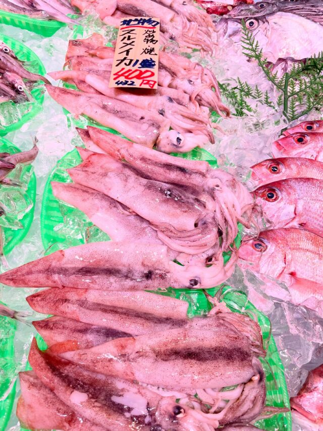 伊勢湾・三河湾は魚貝の宝庫、愛知県の主要漁港でセリ権を持つ俺たち。
ぴかぴかの魚貝類が水揚げ後すぐに魚市場に並びます！  ＼今日のおすすめ／
イカが高騰中！
高騰中のなか魚太郎頑張りました…！
形原漁港直送のスルメイカが4〜5杯入ってなんとこのお値段！めちゃくちゃ破格です！
BBQで焼いてもいいですね！🦑
わからないことはお気軽に！　そんな疑問、全部魚太郎が解決します！  魚が捌けなくても大丈夫！
対面鮮魚コーナーでは無料で下処理行います。
毎日魚を扱うプロの魚屋にお任せ！  本日も沢山のピカピカの地魚と活気あふれるスタッフで
皆様のご来店をお待ちしております！  鮮魚市場に併設した、魚屋の浜焼きバーベキューがありますので
市場で買ってそのまま焼いて食べることが可能です！  最新入荷はストーリーズで配信中！
フォロー＆チェックしてくださいね！  皆様の「美味しい！」の声が、俺たちの元気の源です！  ▷入荷商品のお問合せは、お電話にてお願いします
▶その他お問合せDMではタイムリーな返答が致しかねます
体制が整っておらず、申し訳ありません🙇  -————————————————
📌ラグーナテンボス　フェスティバルマーケット内1F
店舗の場所は、観覧車の下が目印です🎡  🐟魚太郎ラグーナ蒲郡店 鮮魚市場
営業時間：　10：00～18：00
※海鮮丼・寿司のイートインコーナーあり  🔥魚太郎浜焼きバーベキュー ラグーナ蒲郡店
営業時間：
平日10:00～17:00(最終受付15:00)
土日祝　10：00～19：00(最終受付17:00)
土日祝は　19：00迄　延長中
駐車場：魚太郎浜焼きバーベキュー利用で最大5時間無料サービスあり
(夏休み　2025/7/19-8/31は）
10：00～20：00（受付最終18:00）
#魚太郎ラグーナ蒲郡店