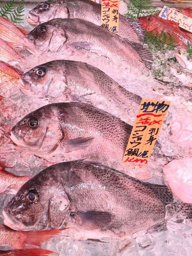 伊勢湾・三河湾は魚貝の宝庫、愛知県の主要漁港でセリ権を持つ俺たち。
ぴかぴかの魚貝類が水揚げ後すぐに魚市場に並びます！  ＼今日のおすすめ／
南知多産の胡椒鯛です！
お手頃な地魚で今の時期は産卵前で脂も乗ったいい個体が多くてとてもオススメです！  わからないことはお気軽に！　そんな疑問、全部魚太郎が解決します！  魚が捌けなくても大丈夫！
対面鮮魚コーナーでは無料で下処理行います。
毎日魚を扱うプロの魚屋にお任せ！  本日も沢山のピカピカの地魚と活気あふれるスタッフで
皆様のご来店をお待ちしております！  鮮魚市場に併設した、魚屋の浜焼きバーベキューがありますので
市場で買ってそのまま焼いて食べることが可能です！  最新入荷はストーリーズで配信中！
フォロー＆チェックしてくださいね！  皆様の「美味しい！」の声が、俺たちの元気の源です！  ▷入荷商品のお問合せは、お電話にてお願いします
▶その他お問合せDMではタイムリーな返答が致しかねます
体制が整っておらず、申し訳ありません🙇  -————————————————
📌ラグーナテンボス　フェスティバルマーケット内1F
店舗の場所は、観覧車の下が目印です🎡  🐟魚太郎ラグーナ蒲郡店 鮮魚市場
営業時間：　10：00～18：00
※海鮮丼・寿司のイートインコーナーあり  🔥魚太郎浜焼きバーベキュー ラグーナ蒲郡店
営業時間：
平日10:00～17:00(最終受付15:00)
土日祝　10：00～19：00(最終受付17:00)
土日祝は　19：00迄　延長中
駐車場：魚太郎浜焼きバーベキュー利用で最大5時間無料サービスあり
(夏休み　2025/7/19-8/31は）
10：00～20：00（受付最終18:00）
#魚太郎ラグーナ蒲郡店